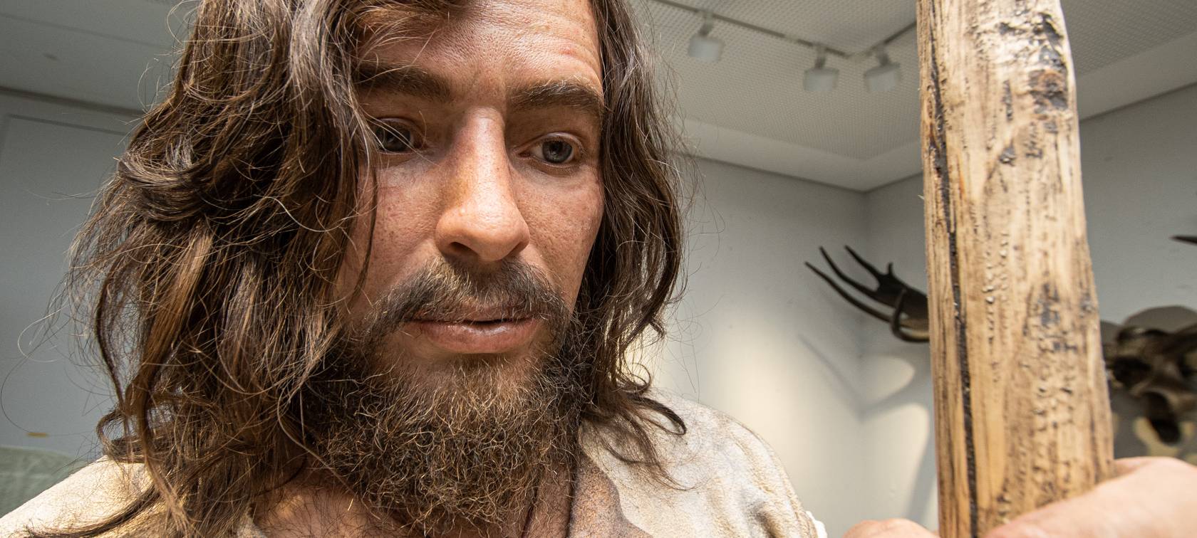 Naturmuseum öffnet in 100 Tagen