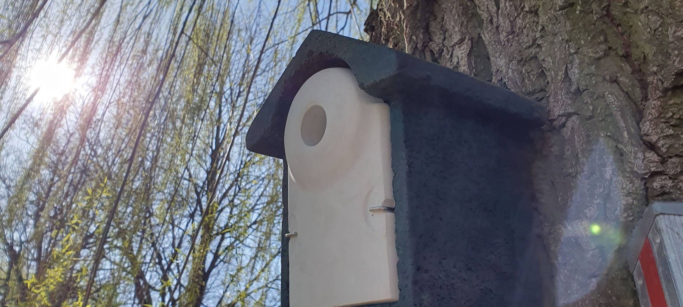 Nistkästen für Kohlmeisen wurden angebracht im Kampf gegen den Eichenprozessionsspinner.