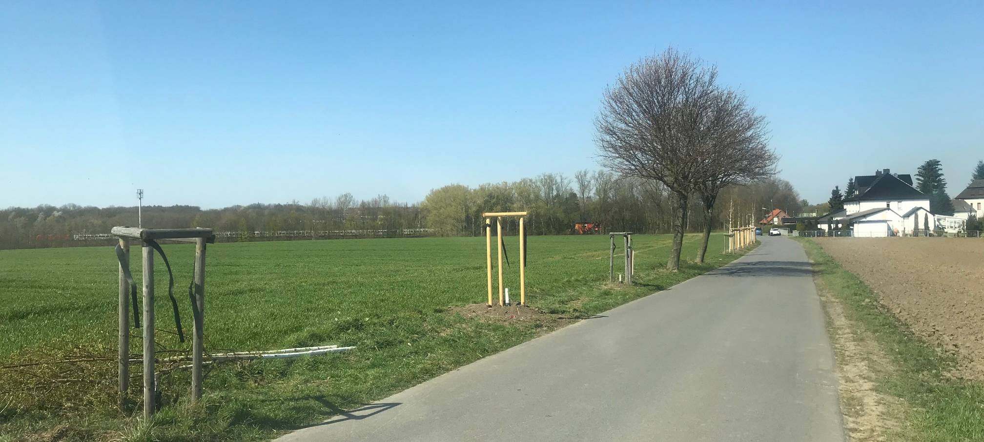 Jungbäume wurden an der Dürener Dorfstraße beschädigt.