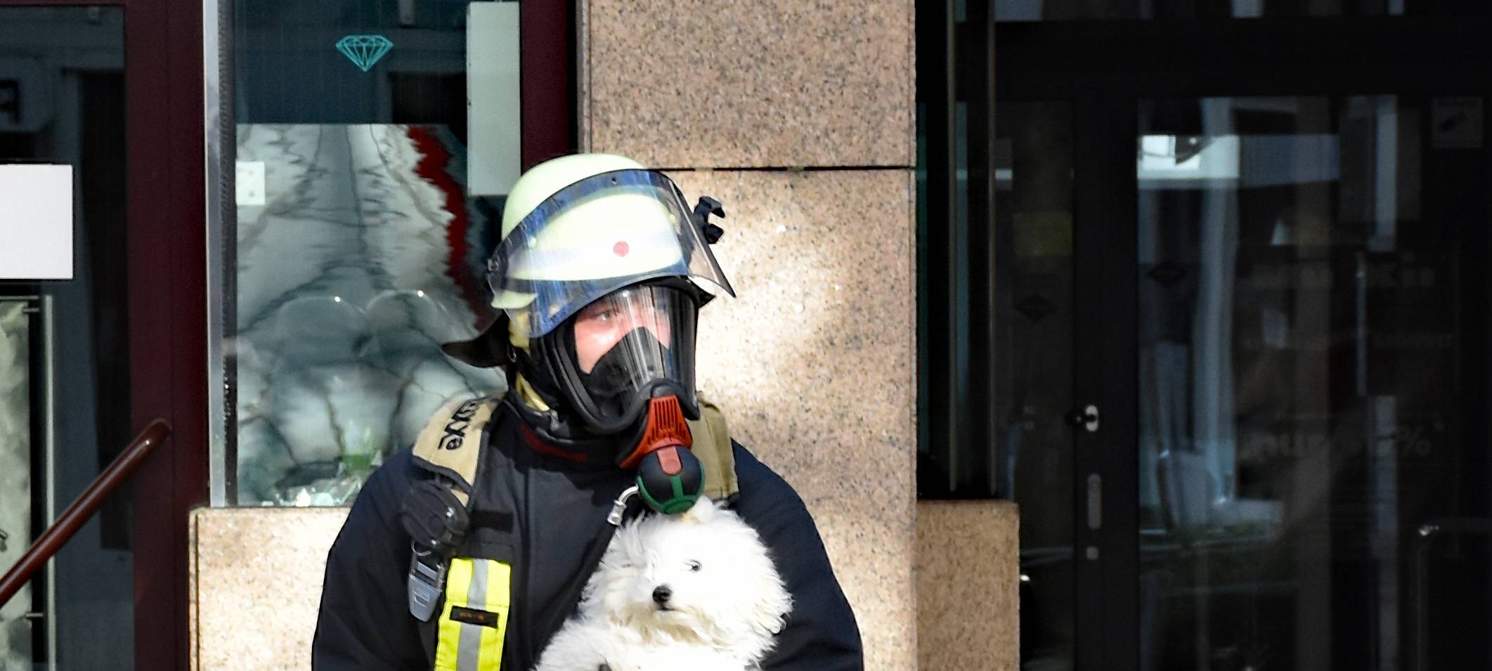 Ein Brandschützer rettet einen Hund unverletzt aus einer brennenden Wohnung in der Kleppingstraße