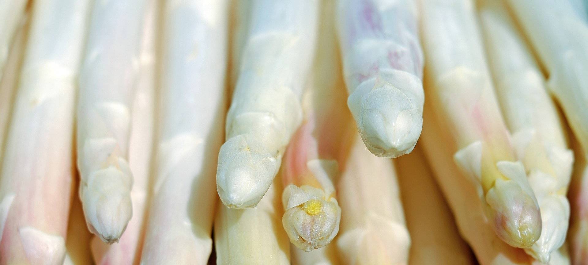 Symbolbild: Weißer Spargel, roh.