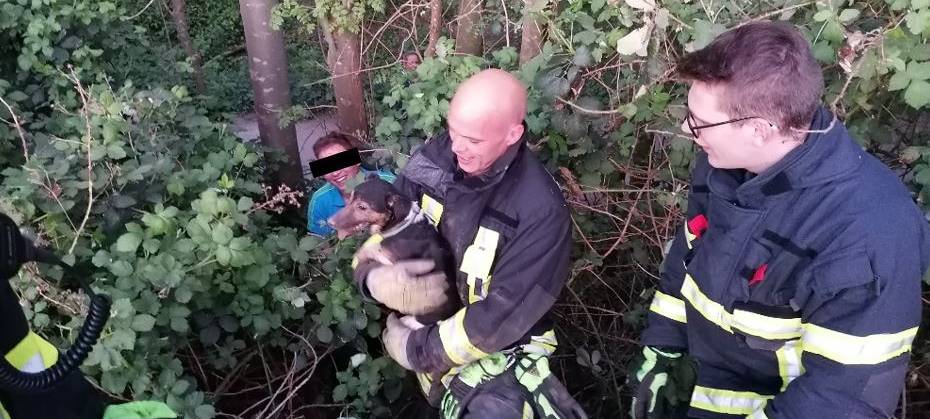 Feuerwehr Dortmund rettet Hund aus Dachsbau