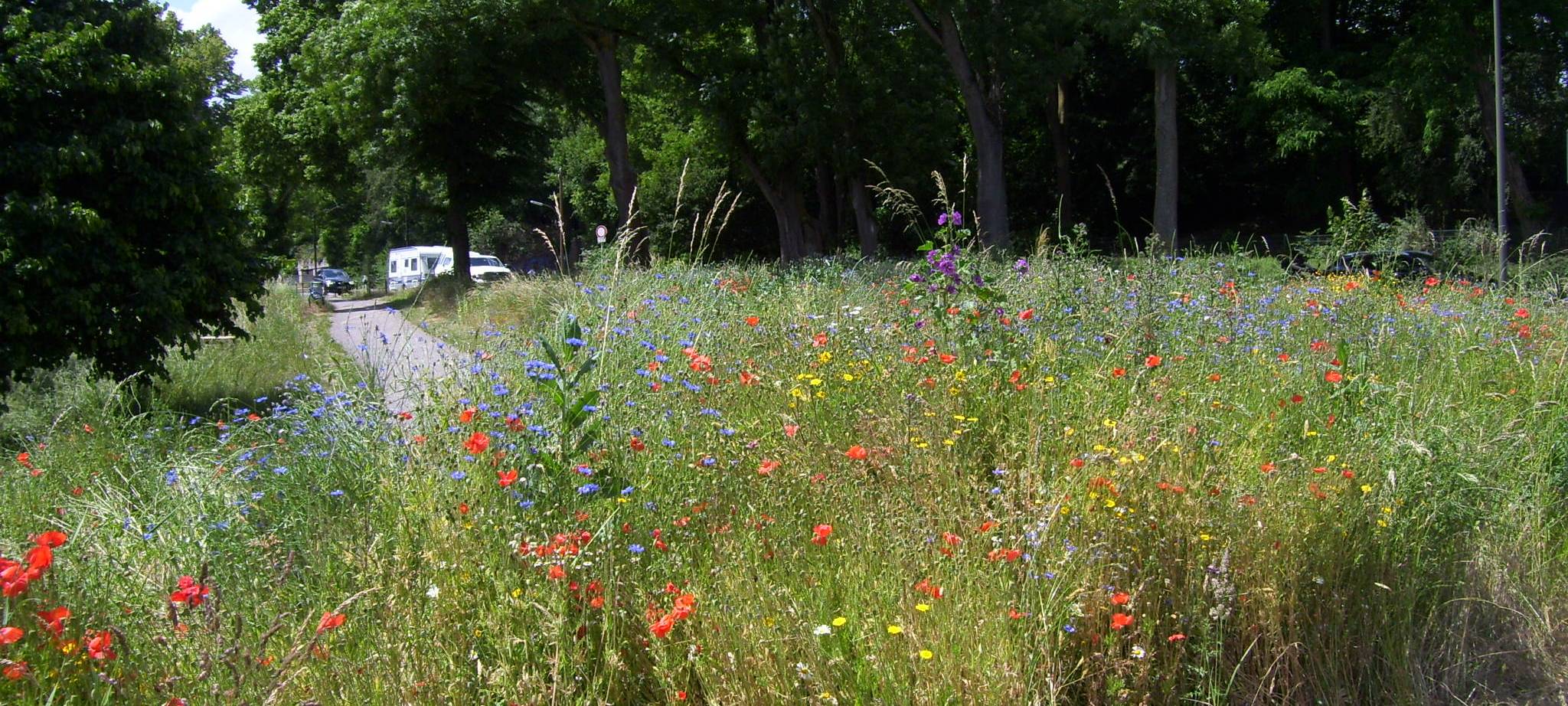Benninfhauser Straße