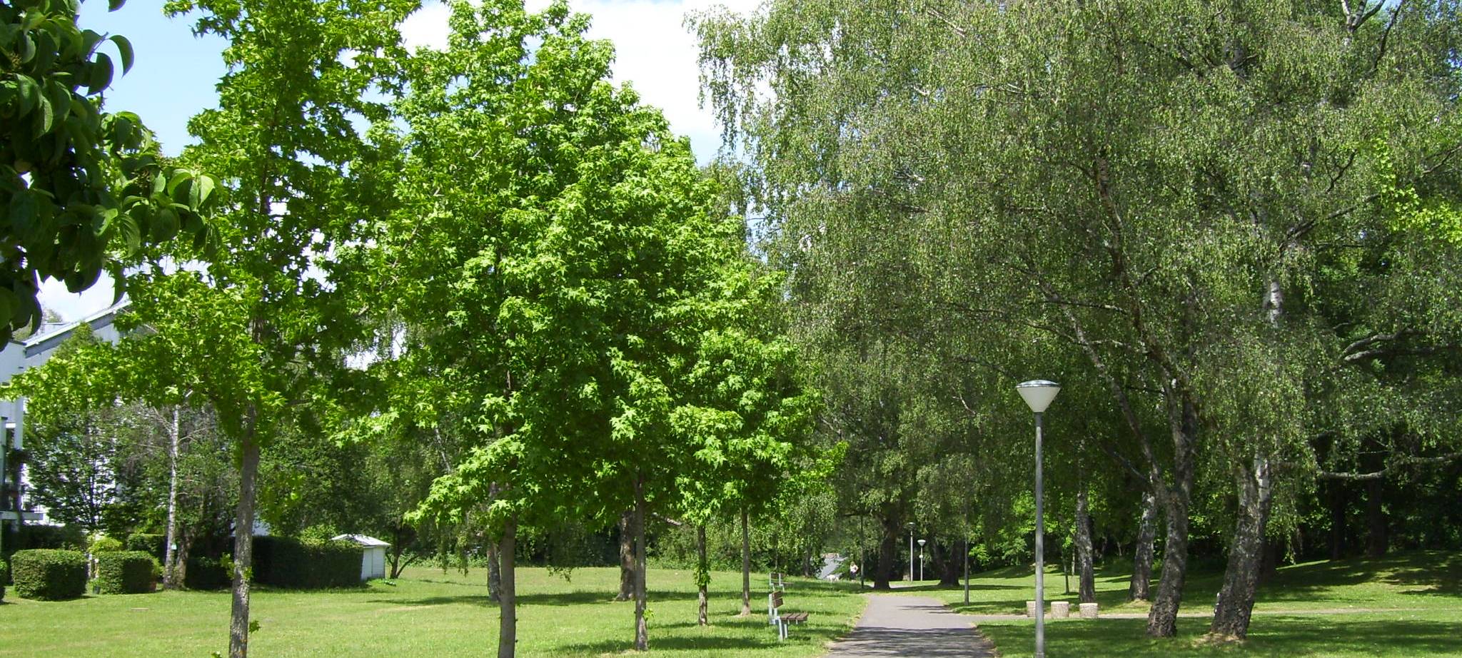 Grünanlage Admiralplatz