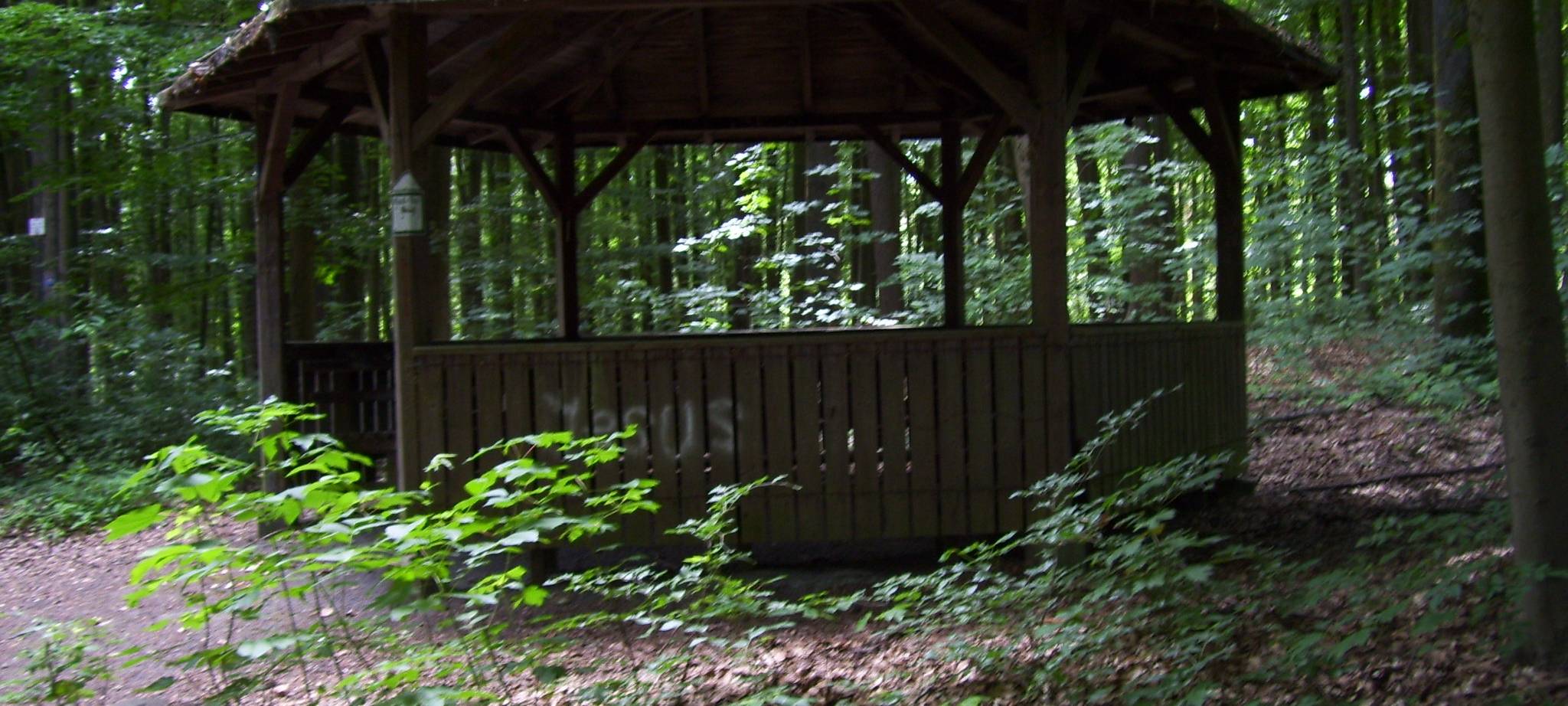 Hütte im Fürstenbergholz