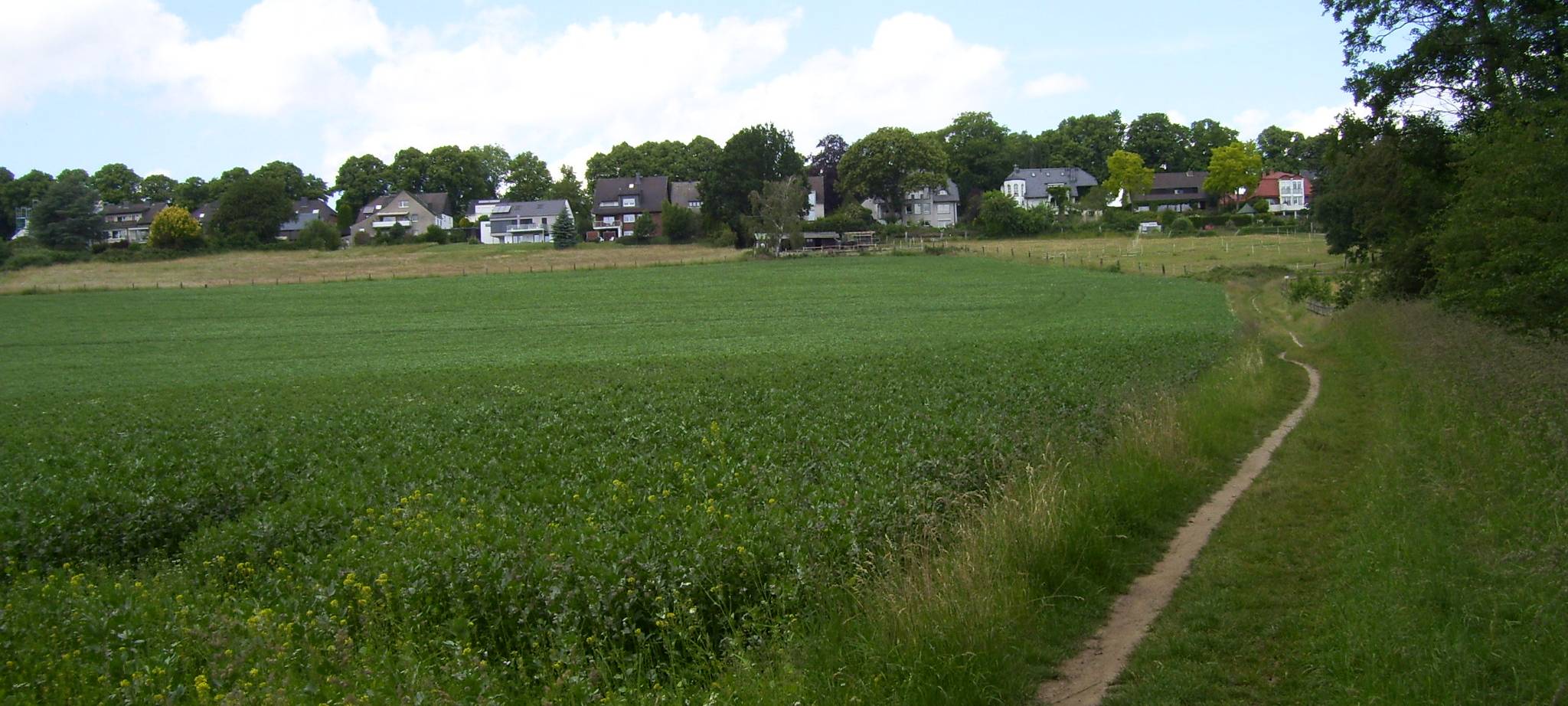 Westlich Limburger Postweg