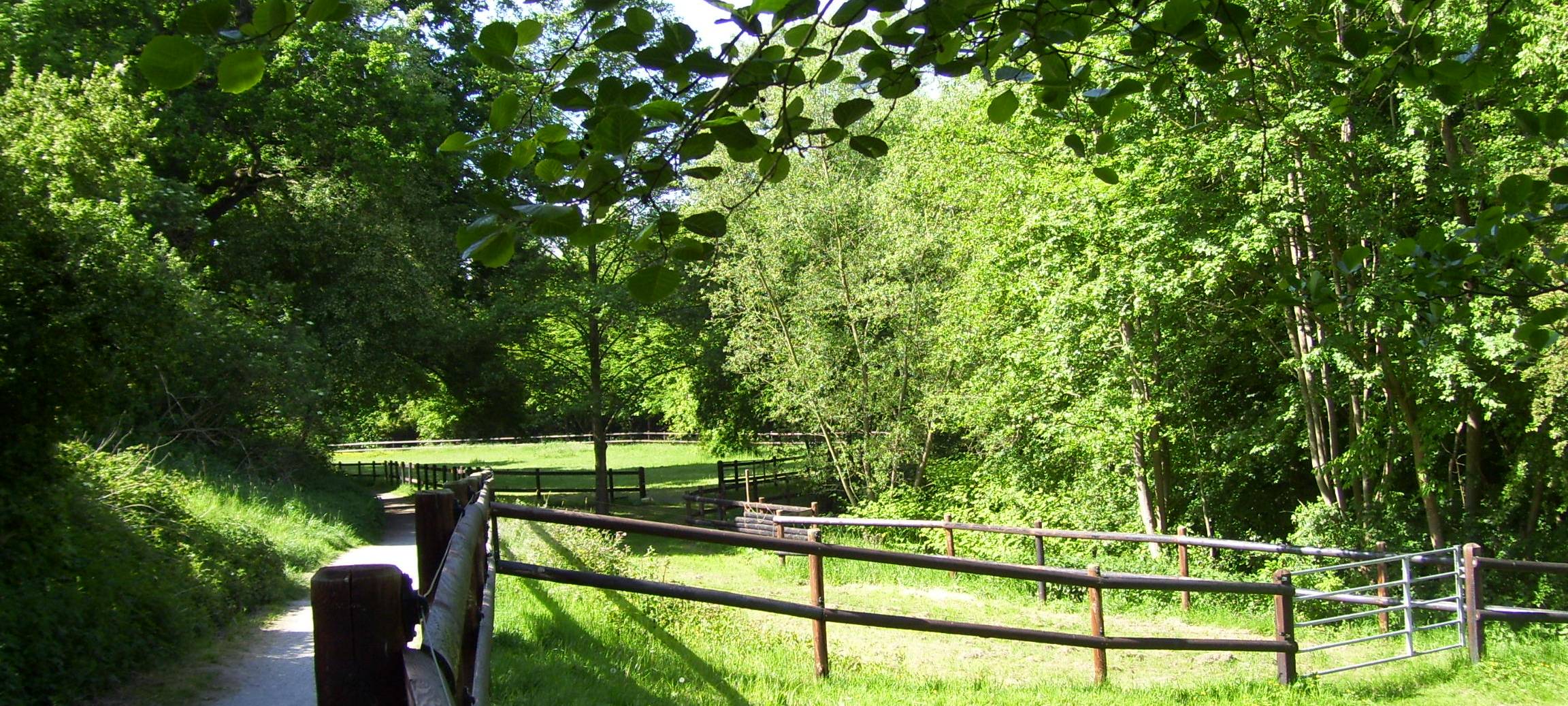 Wander-Radweg Schondelletal Süd Zillerstraße