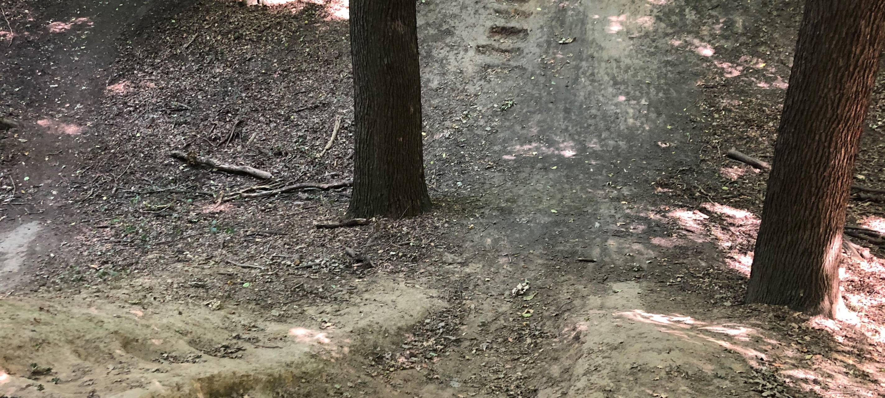 Naturschutzgebiet Bolkme in Dortmund: Mountainbiker zerstören Natur.