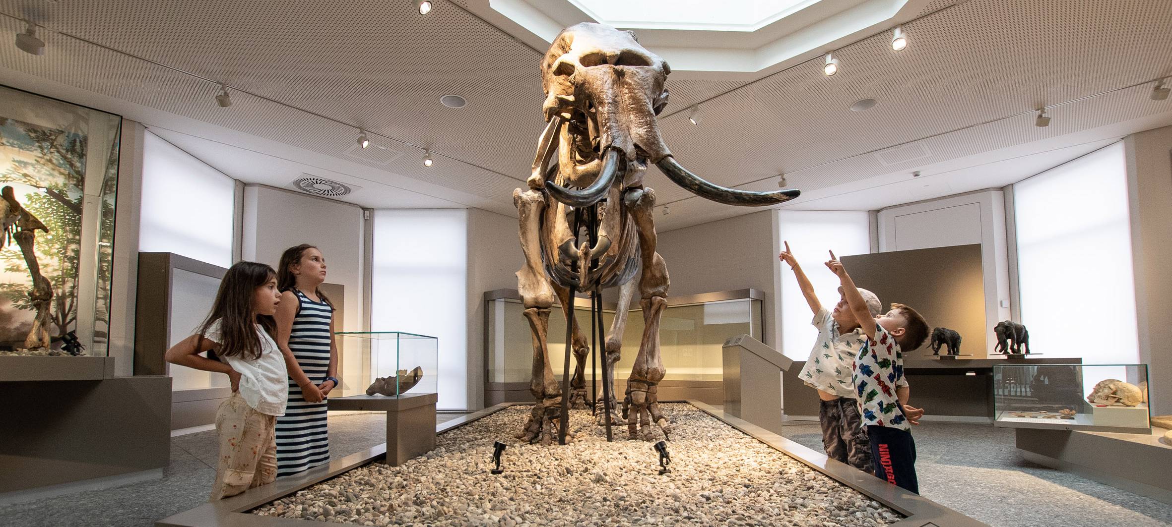 Naturmuseum Dortmund feiert Wiedereröffnung