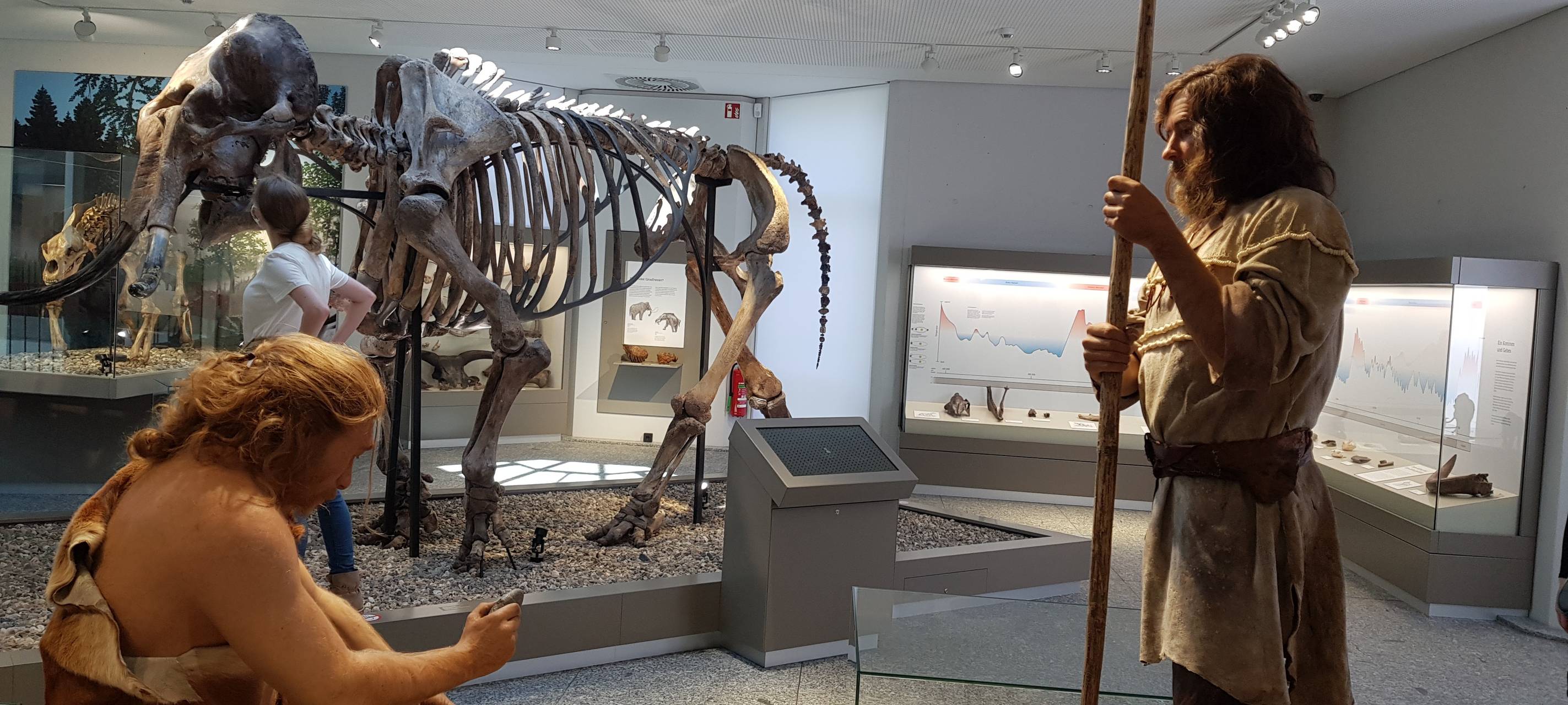 Naturmuseum Dortmund feiert Wiedereröffnung