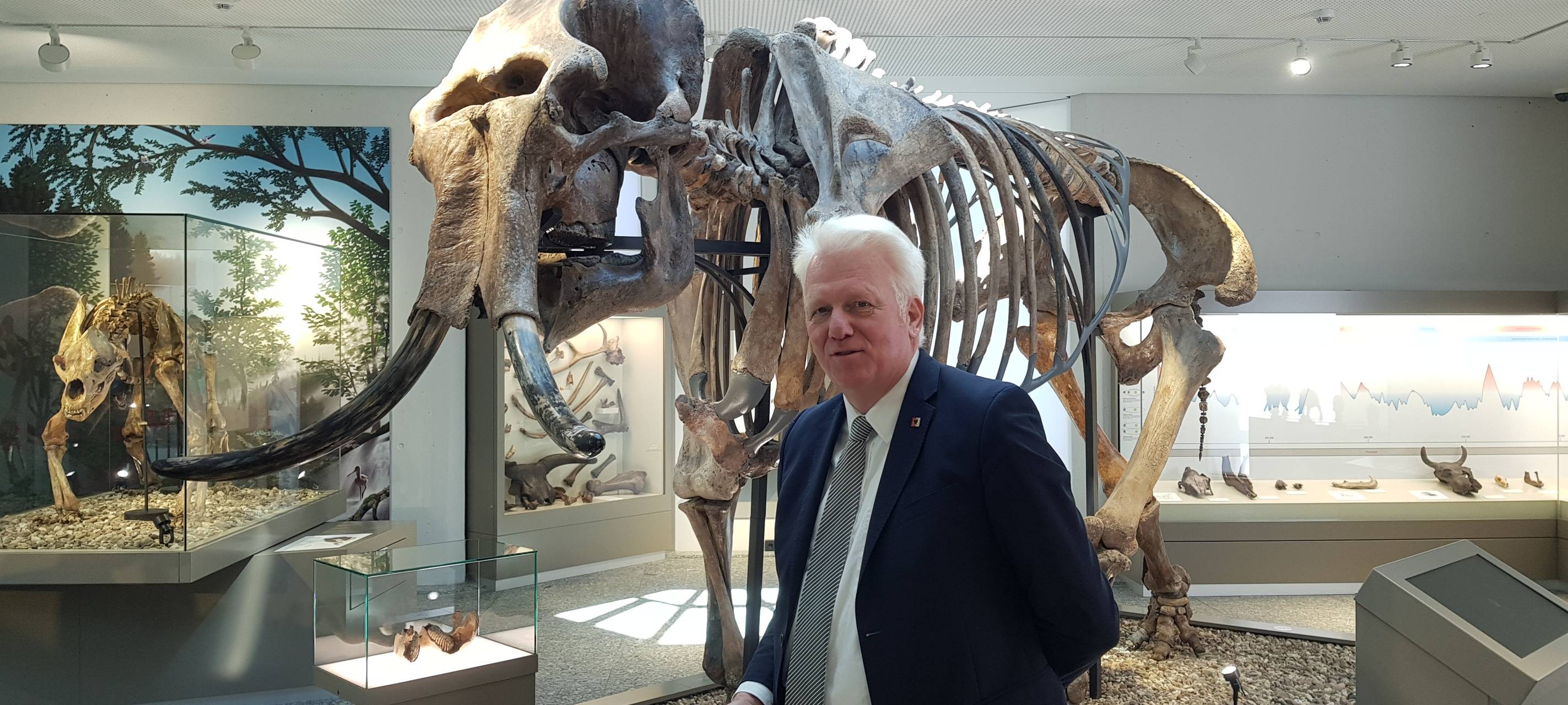 Naturmuseum Dortmund feiert Wiedereröffnung