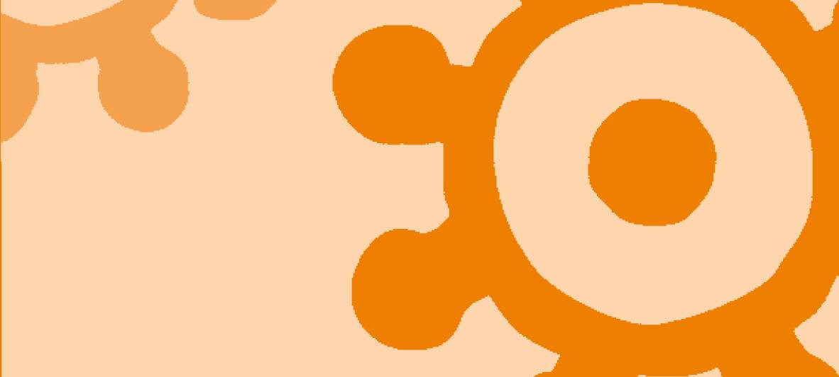 Dortmund: Stimmzettel der Integrationswahl wurden ausgezählt