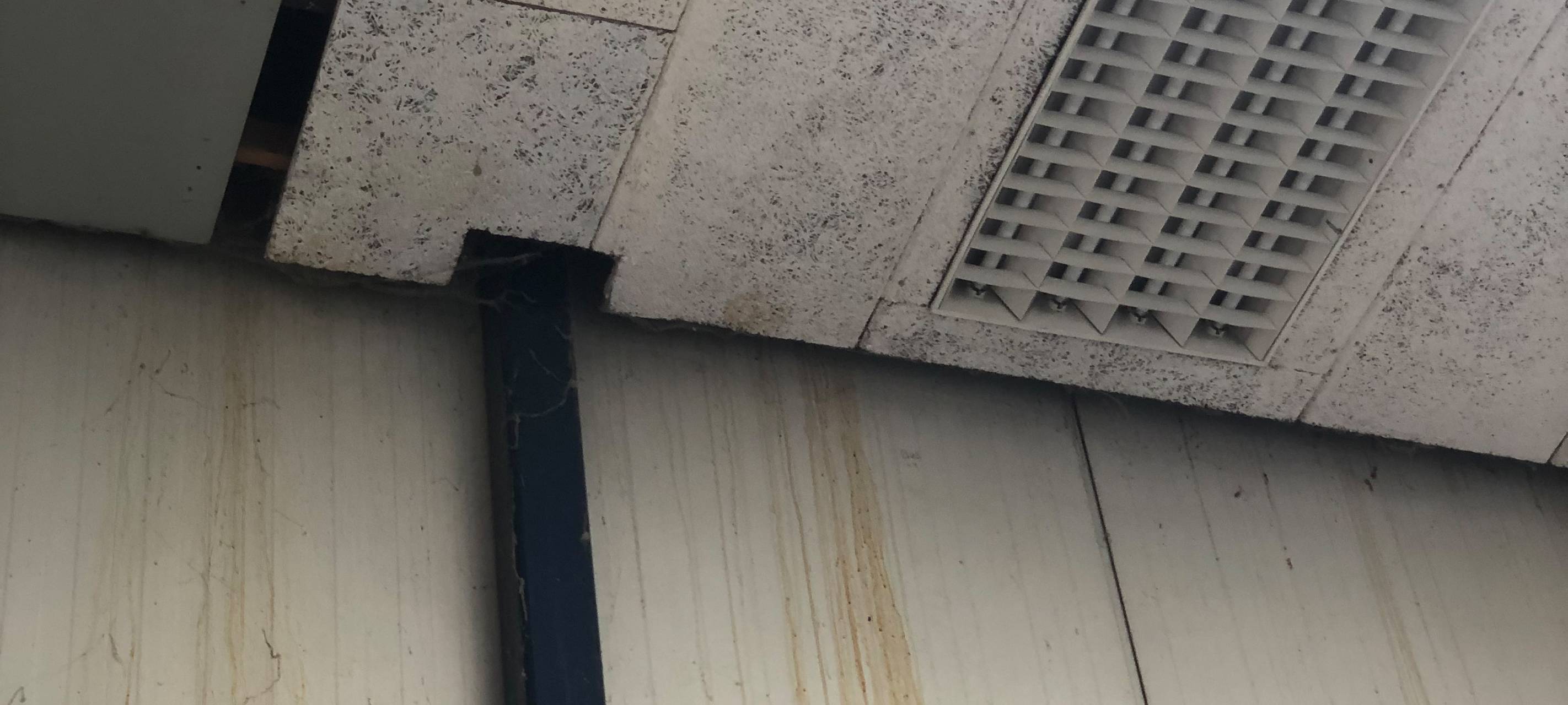 Dreckigste Sporthalle in Dortmund?