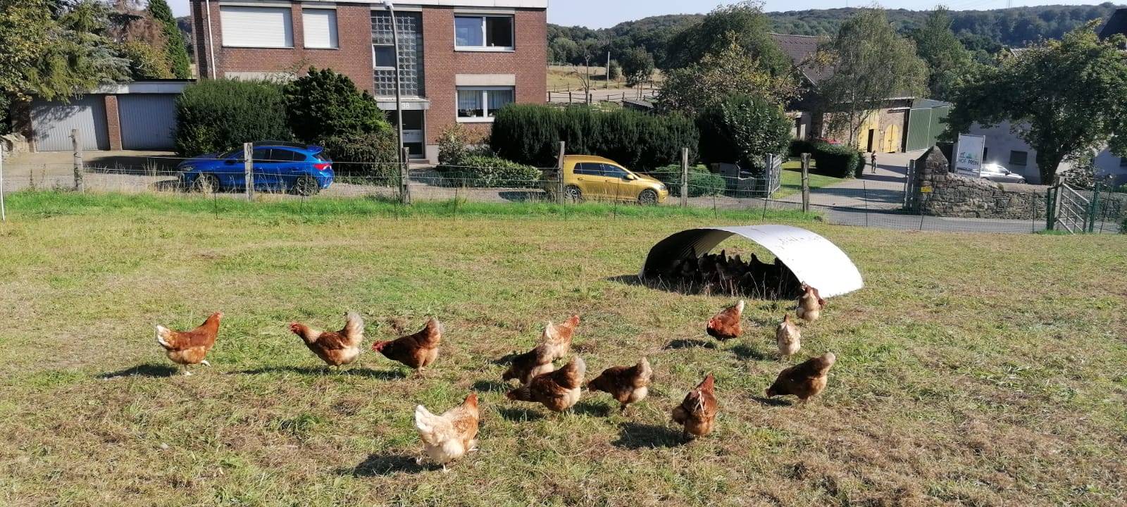 Traumjob: Landwirt in Dortmund