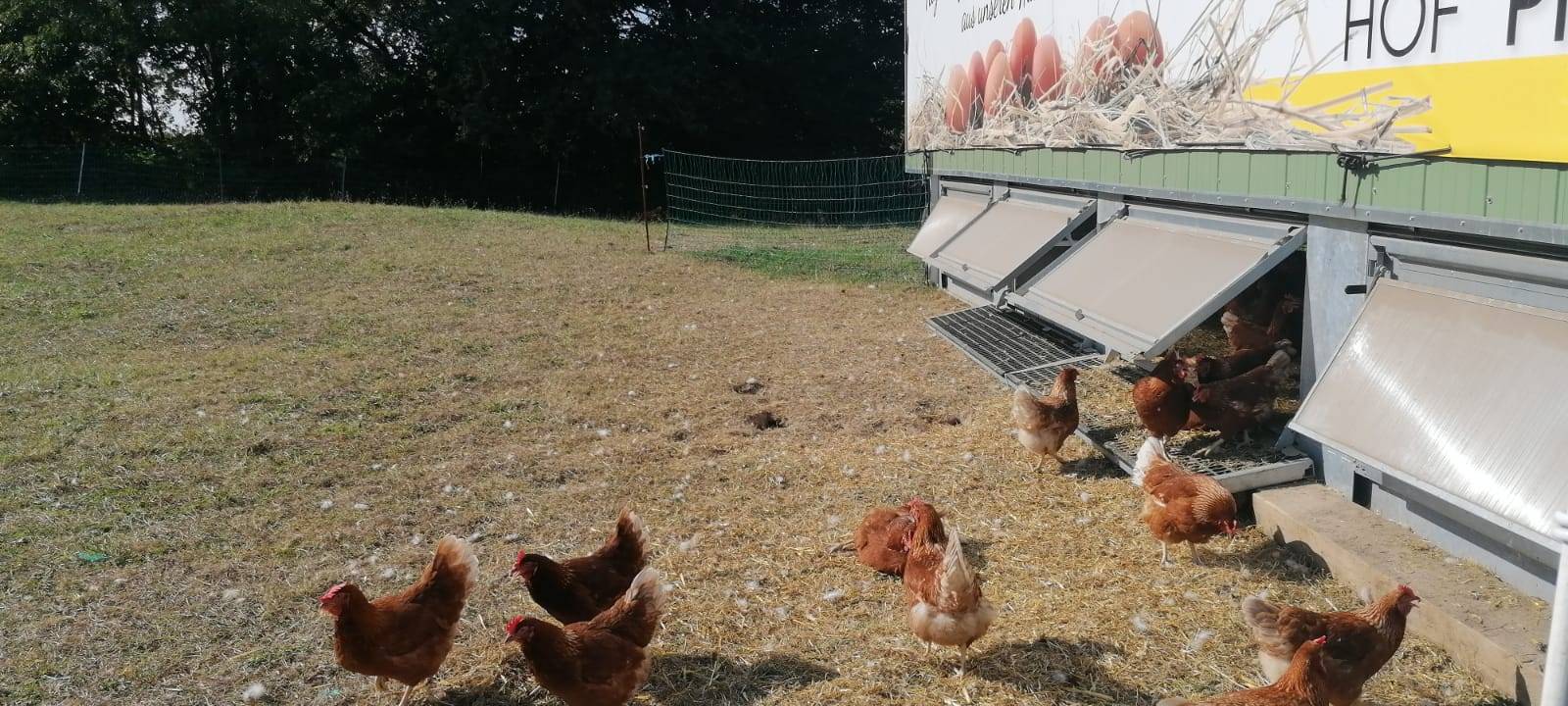 Traumjob: Landwirt in Dortmund