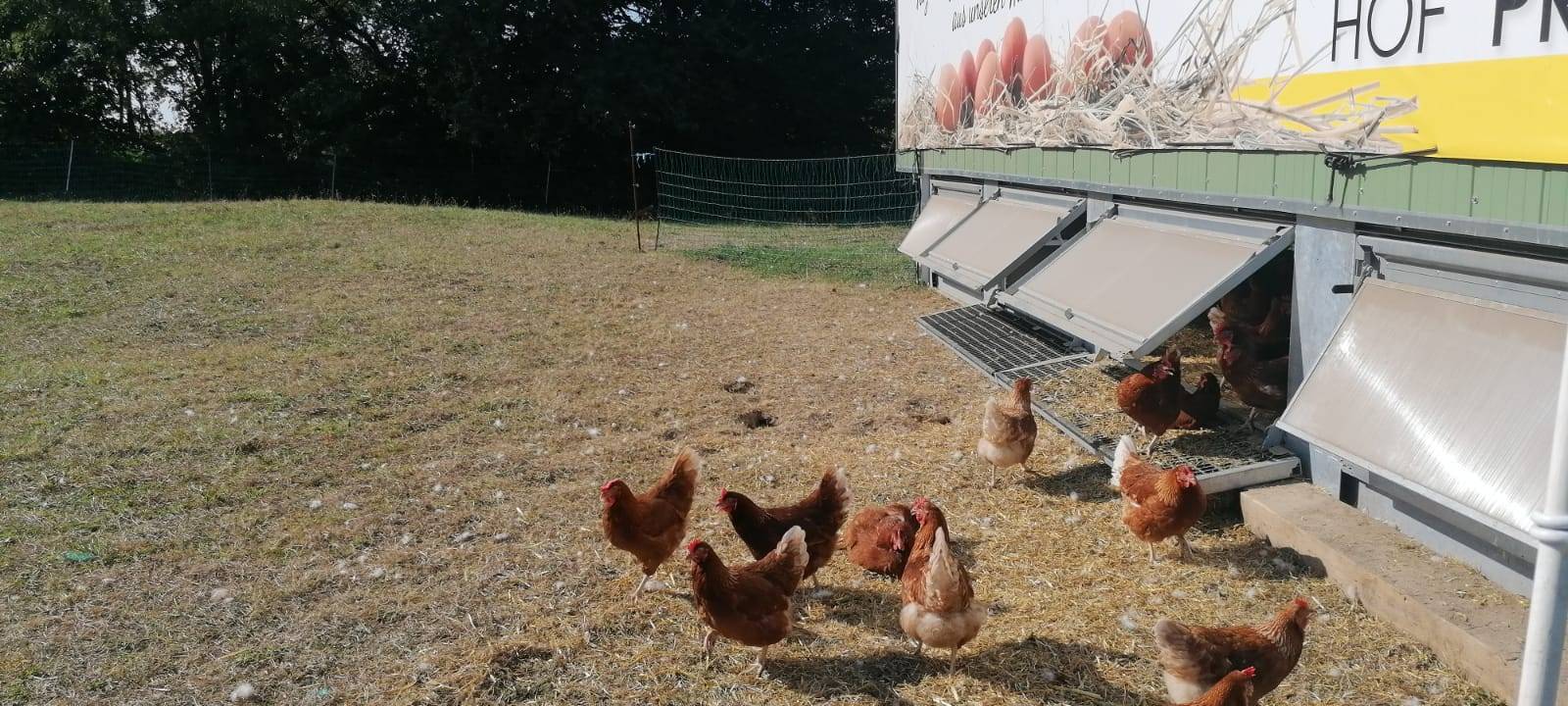 Traumjob: Landwirt in Dortmund