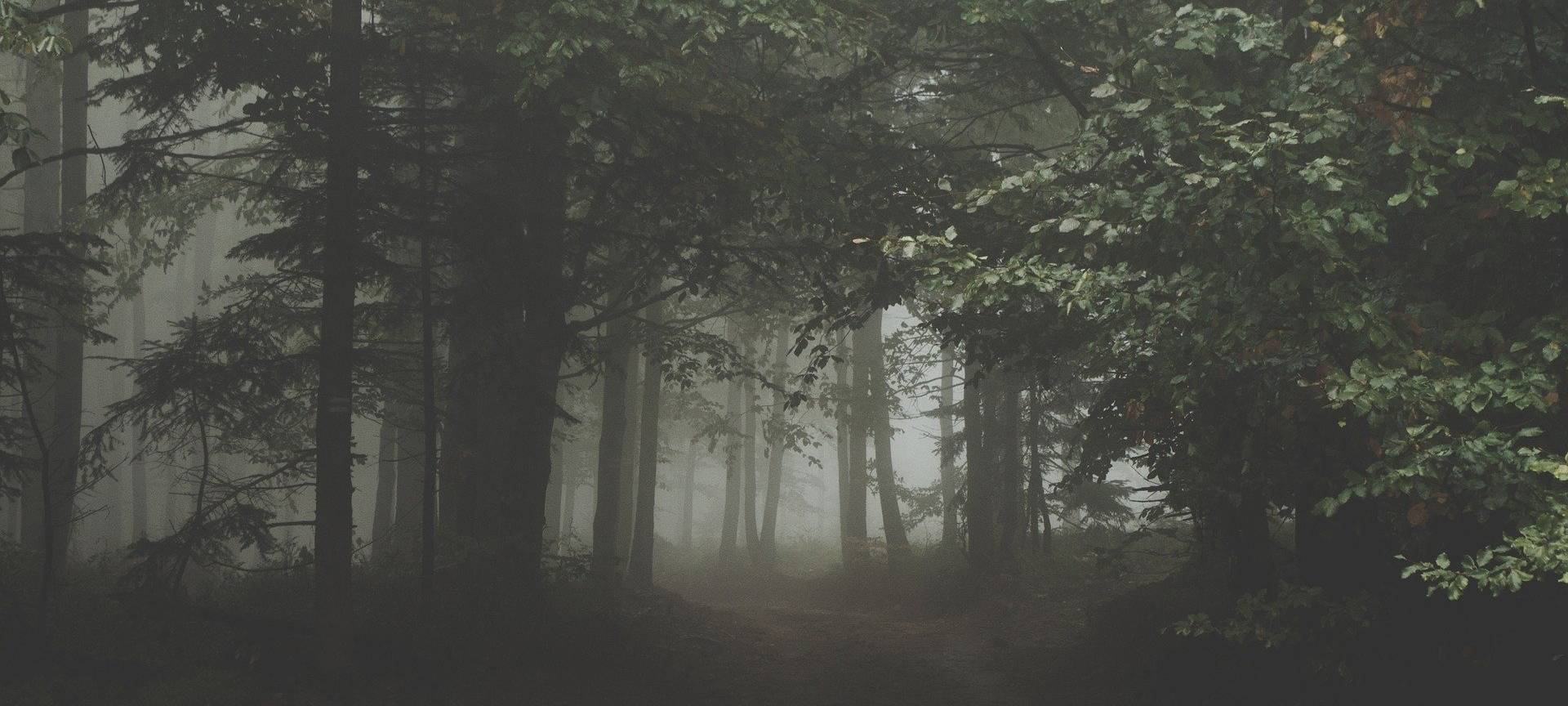 Mord im Pott: Der Werwolf - Teil 1