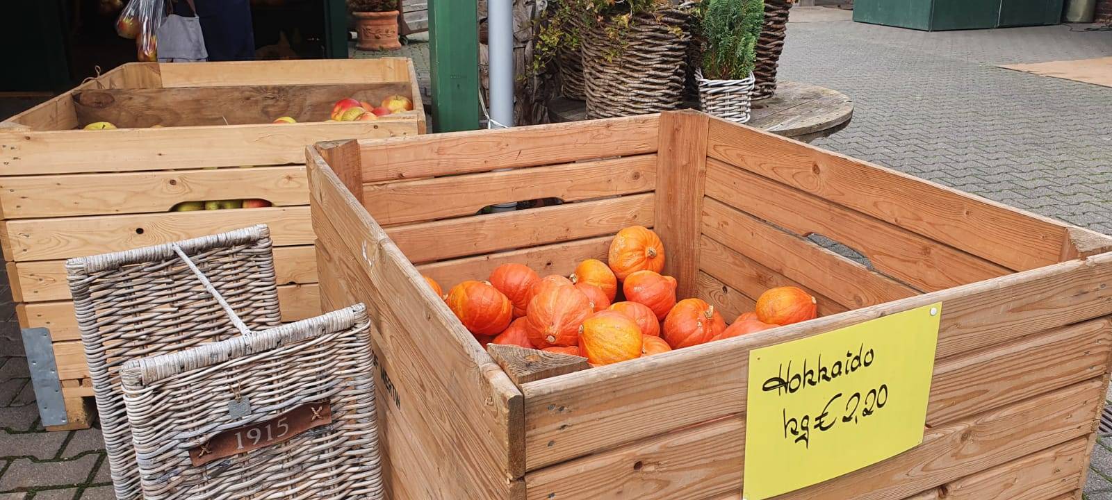 Dortmund: Apfelernte auf dem Hof Mertin