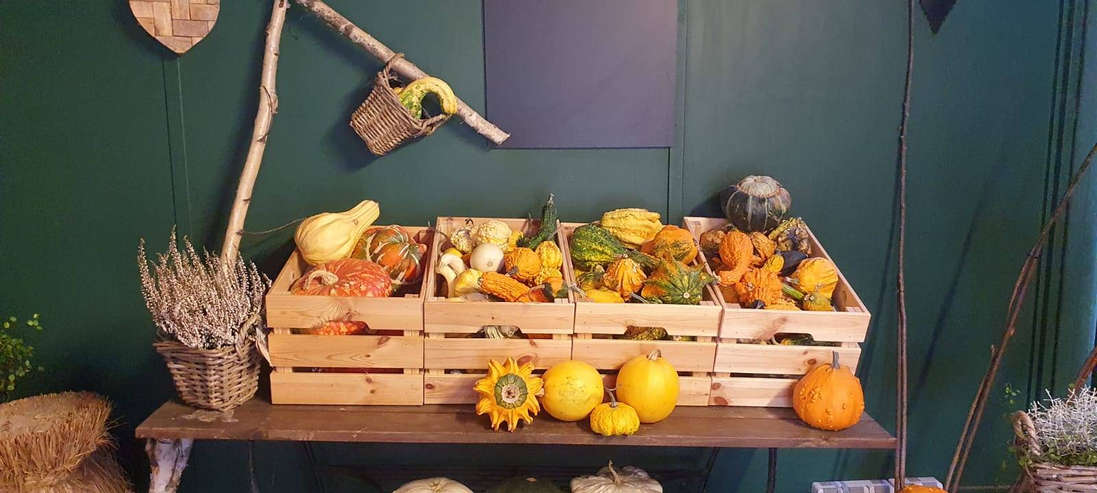 Dortmund: Apfelernte auf dem Hof Mertin