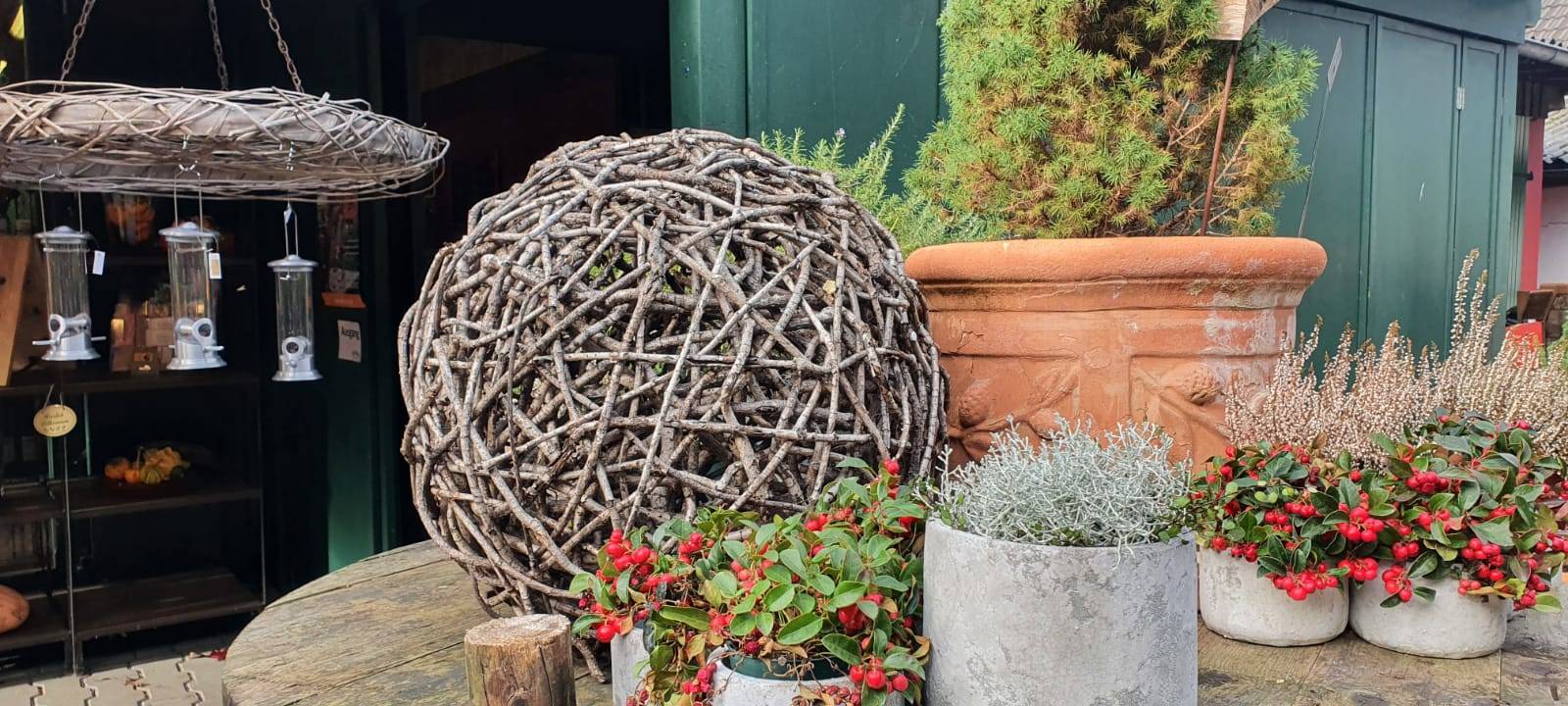 Dortmund: Apfelernte auf dem Hof Mertin