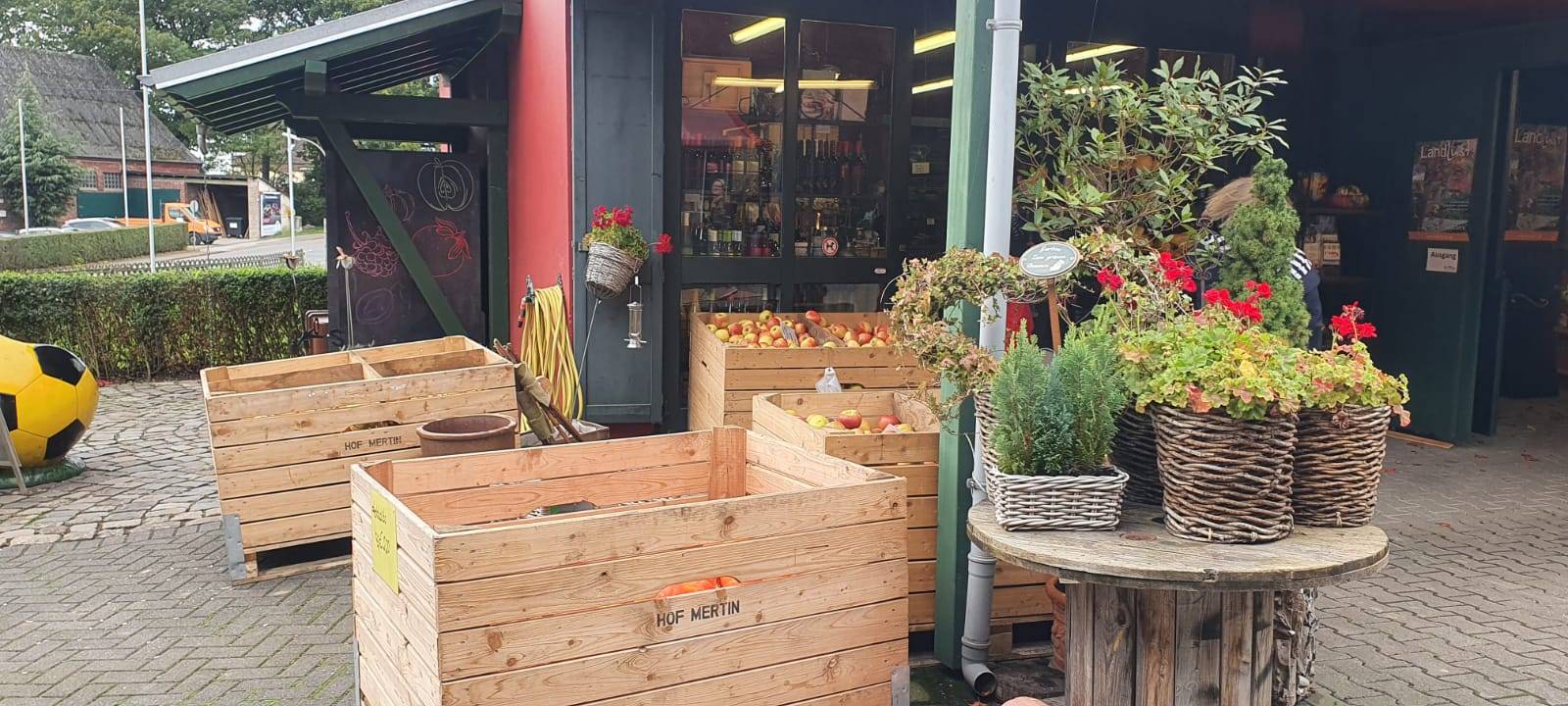 Dortmund: Apfelernte auf dem Hof Mertin