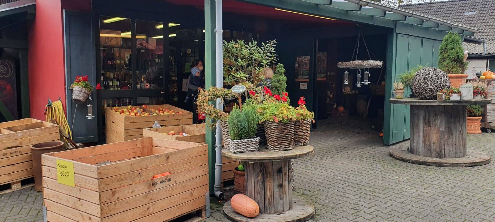 Dortmund: Apfelernte auf dem Hof Mertin