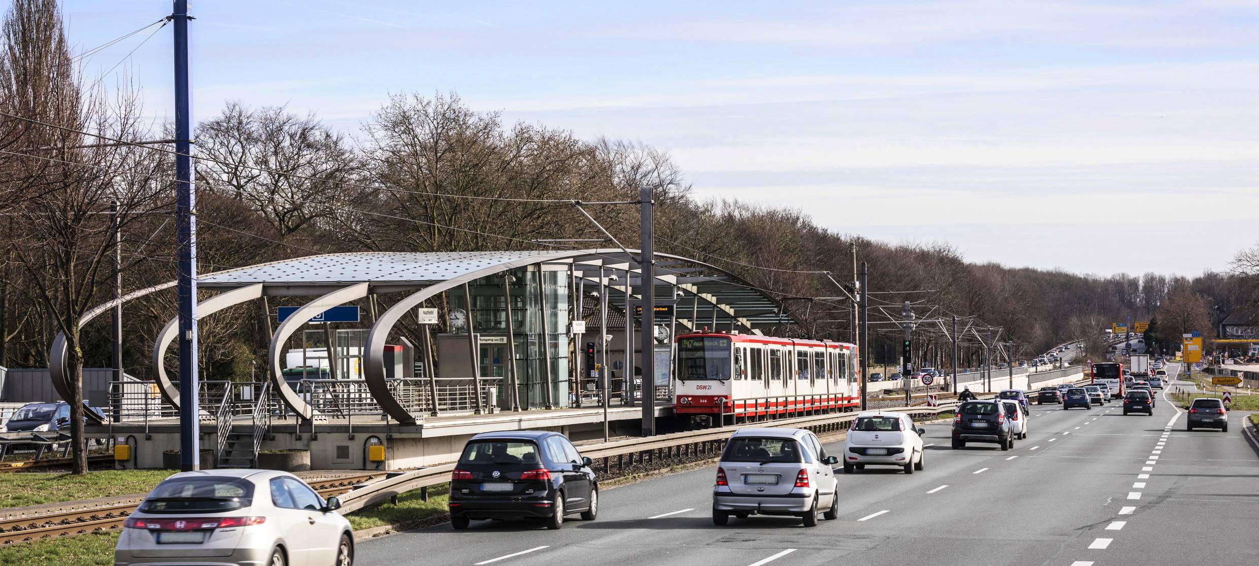 Dortmund: Bäume für B1 Ausbau gerodet