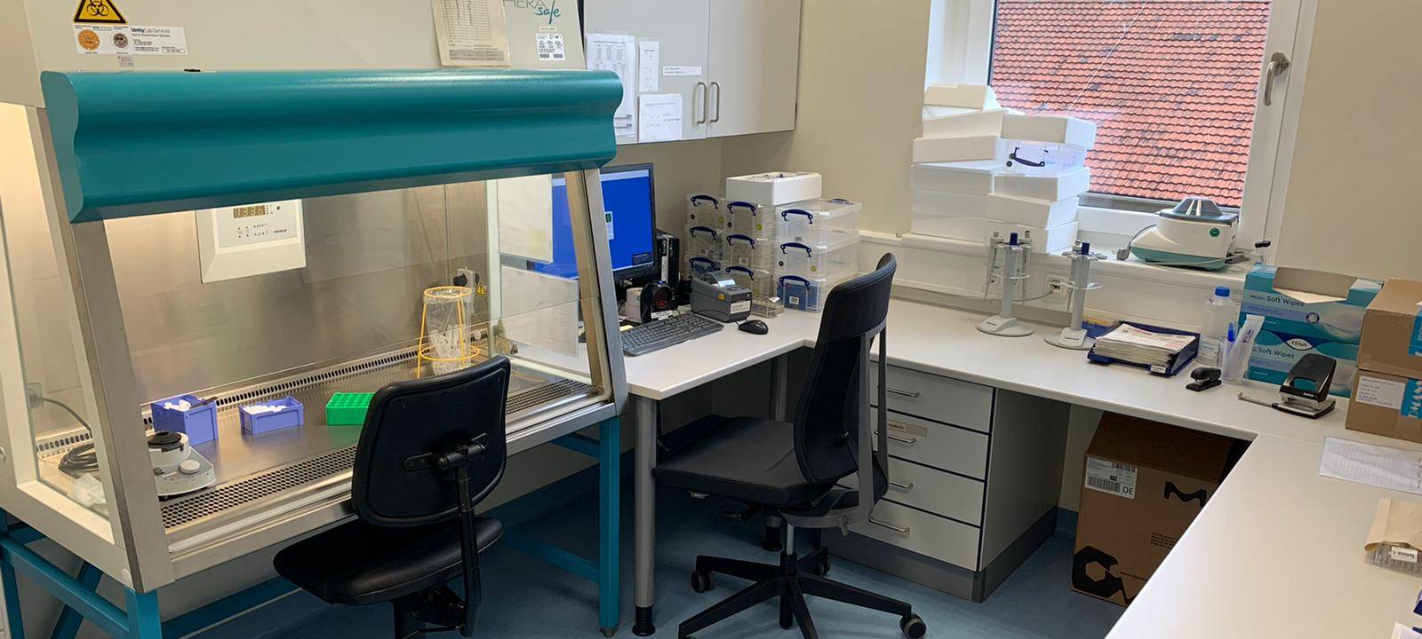 Rundgang im Labor: Auswertung eines Corona-Tests