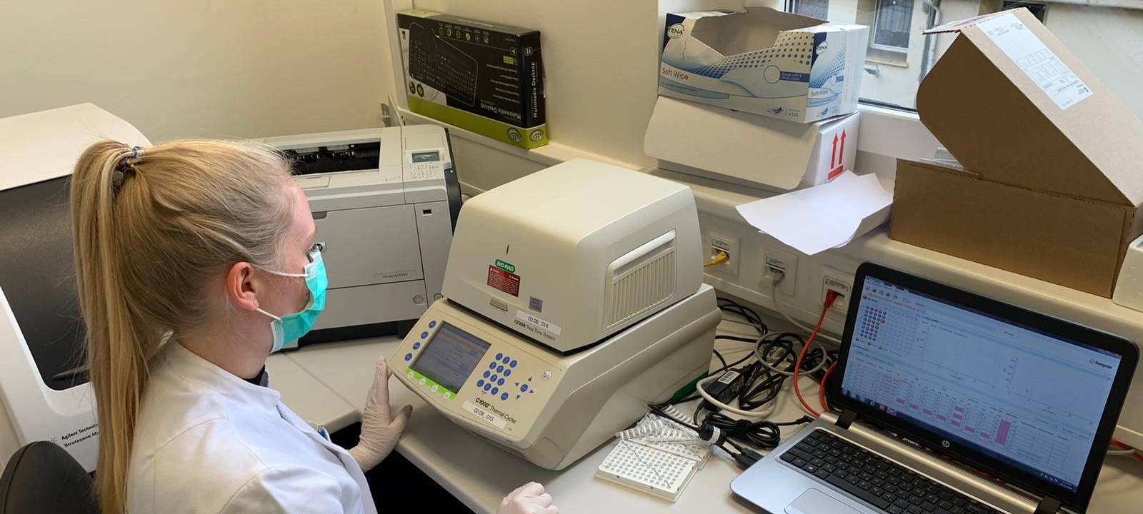 Labormitarbeiterin wertet Corona-Tests aus.