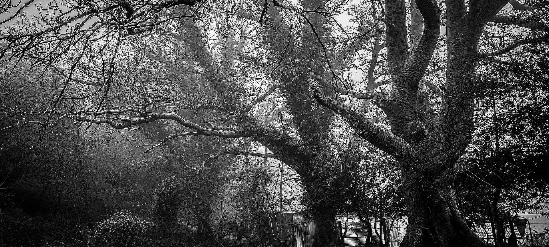 Mord im Pott: Der Werwolf - Teil 2