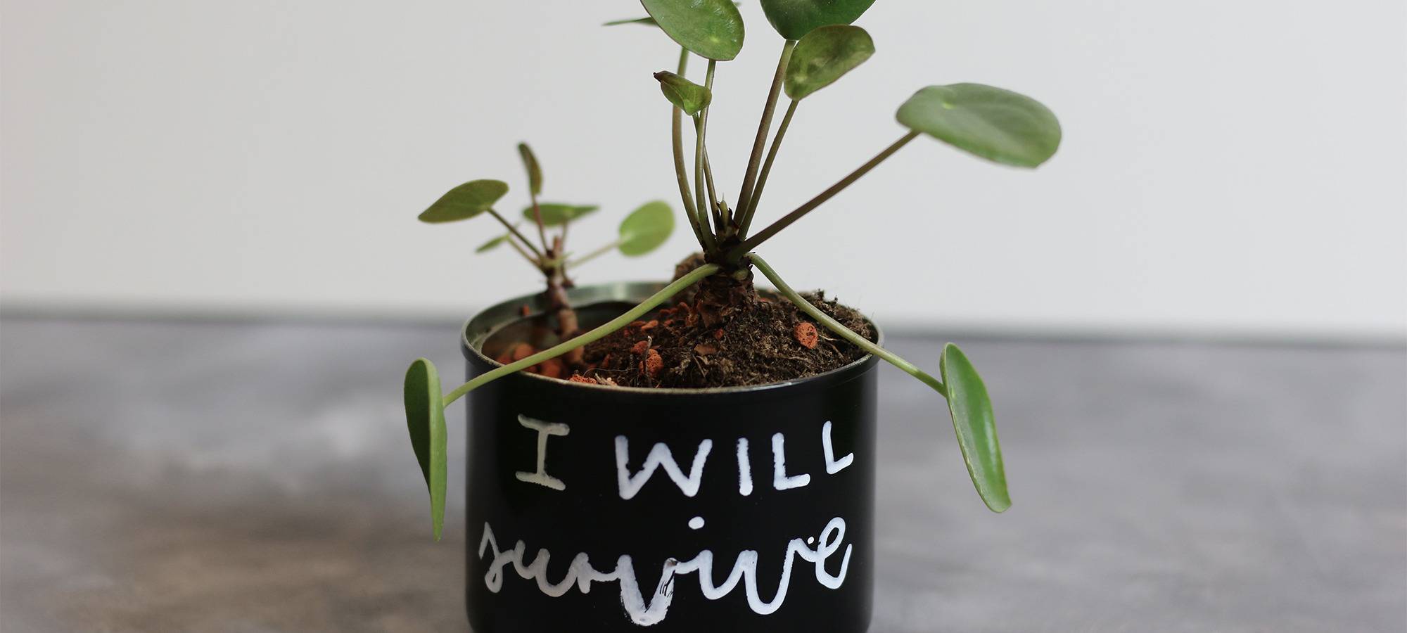 „Tanz auf Ruinen“: Upcycling in Dortmund