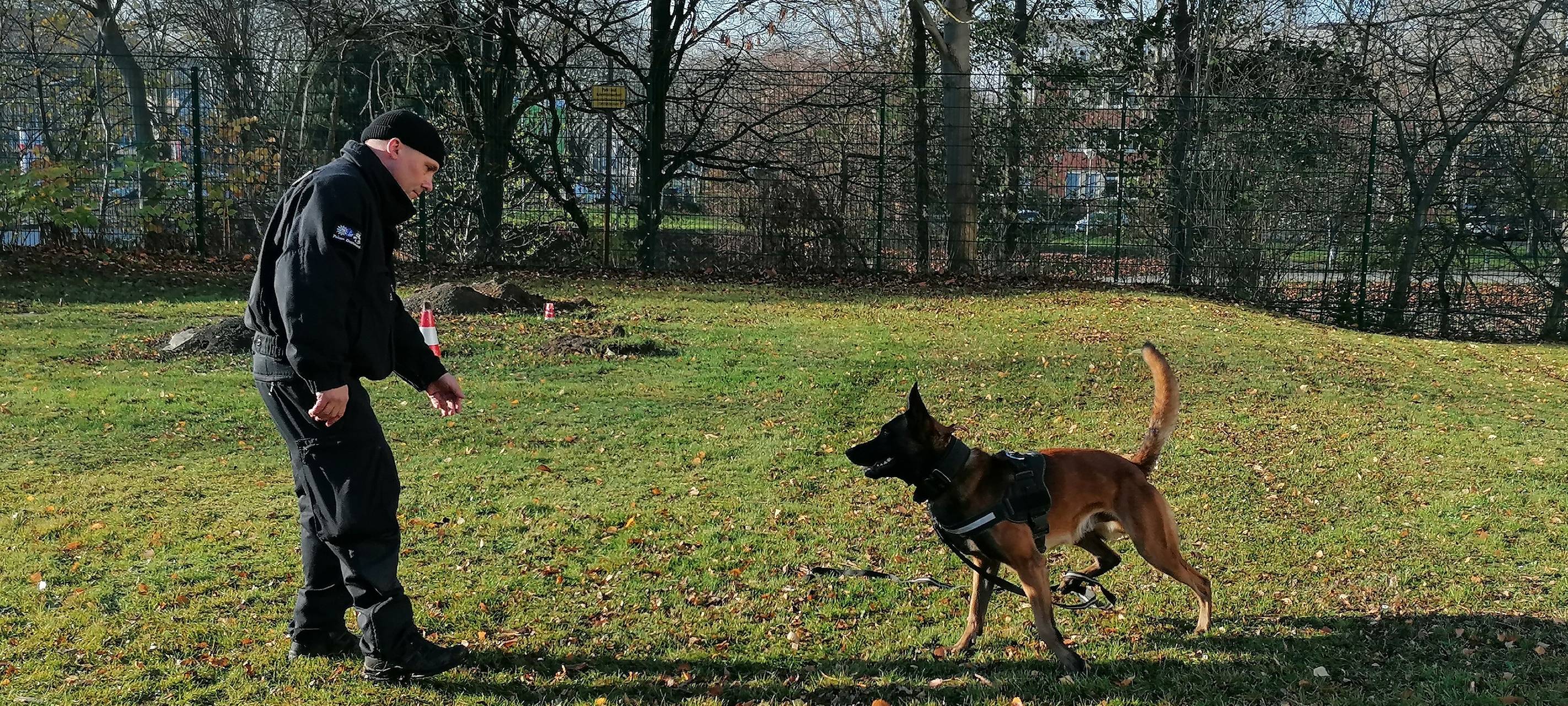Tier der Woche: Dortmunder Polizeihund Kasimir