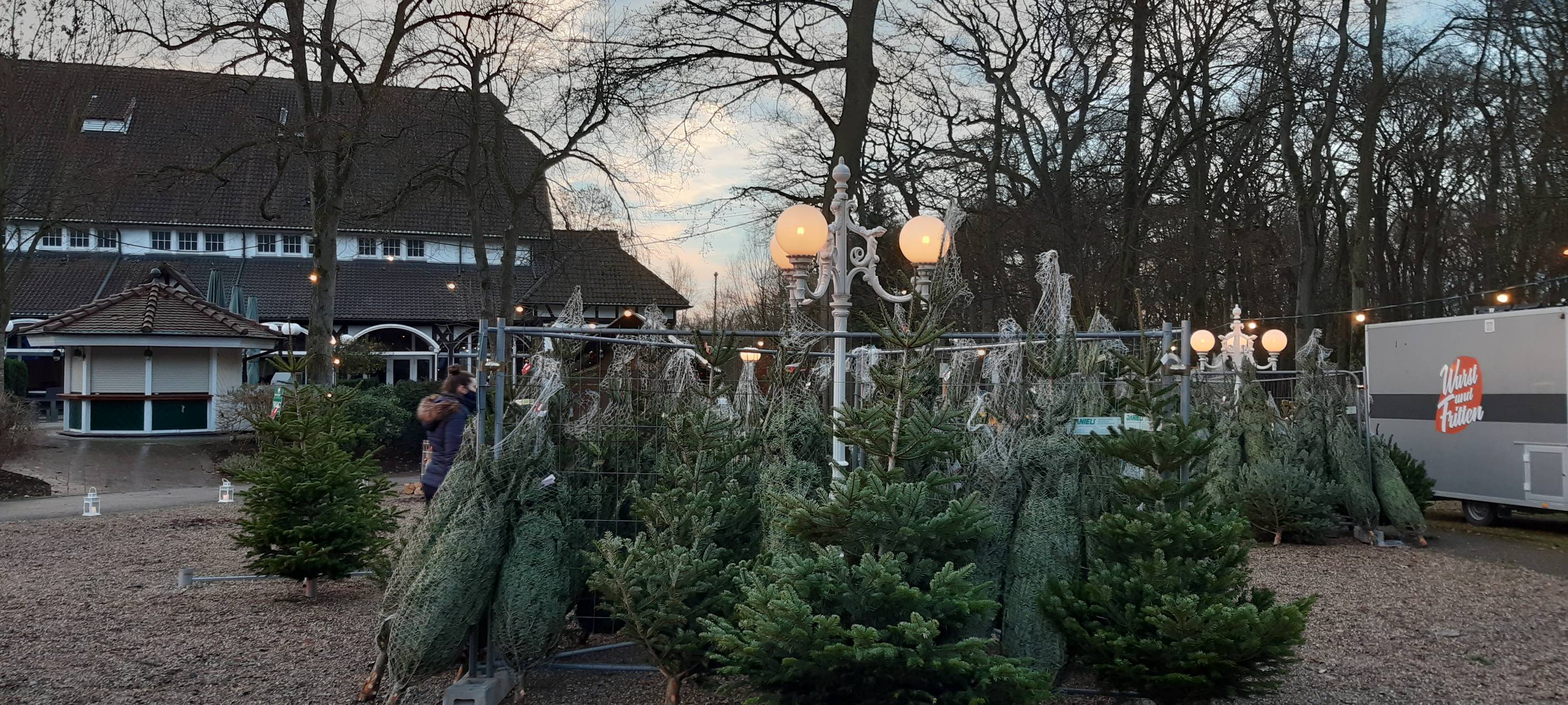 Dortmund: Weihnachtsbaumverkauf für die Neven Subotic-Stiftung