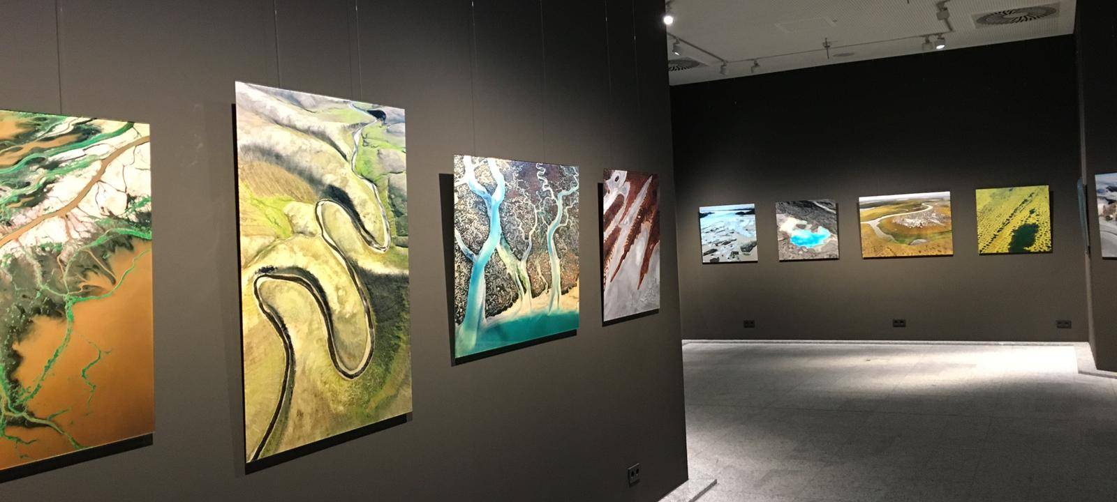 Blick hinter die Kulissen: Naturmuseum Dortmund im Lockdown