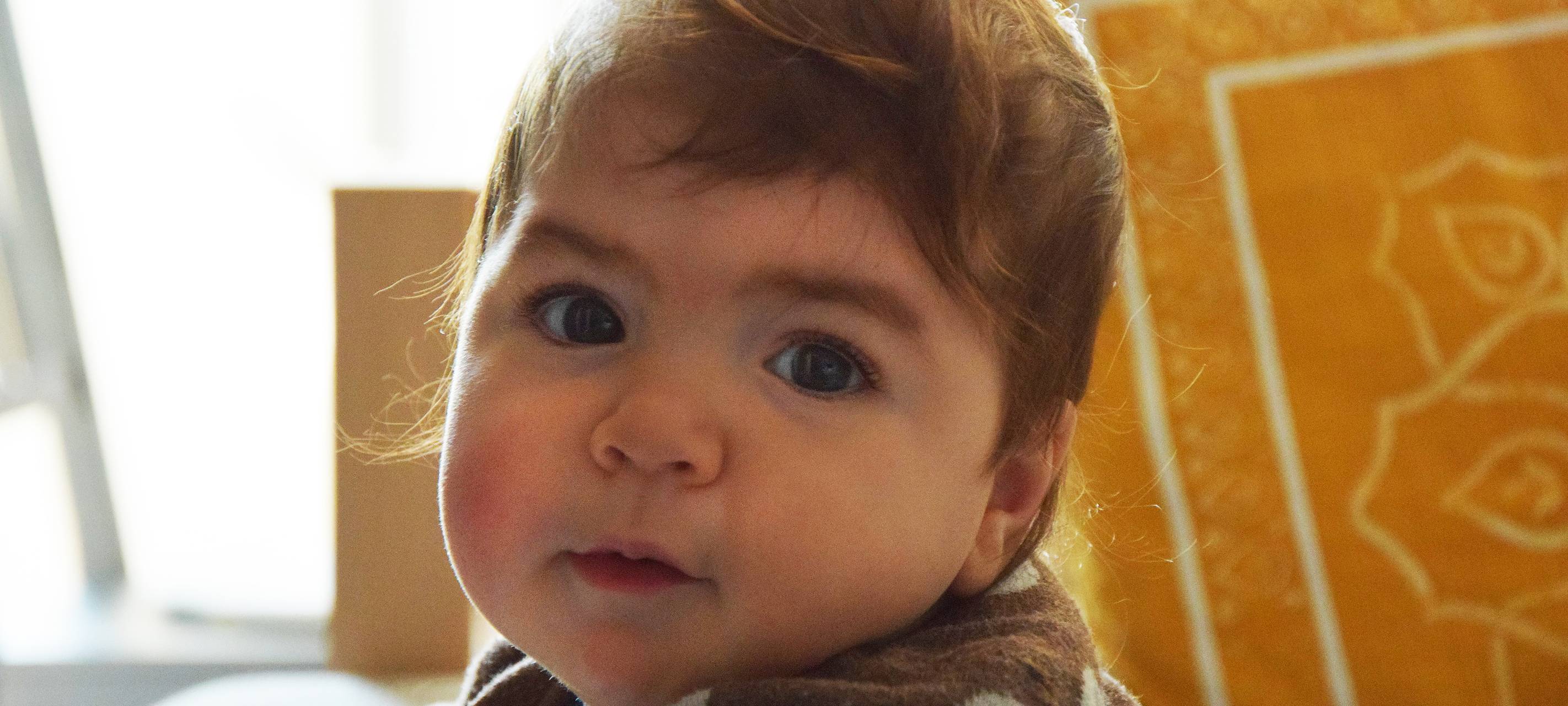 Stammzellenspender für Paulina gefunden