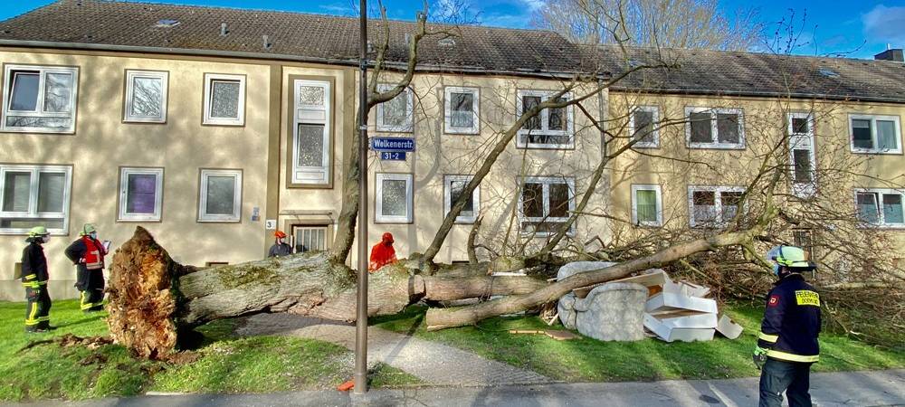 Nur wenige Einsätze aufgrund Sturmtief Klaus in Dortmund