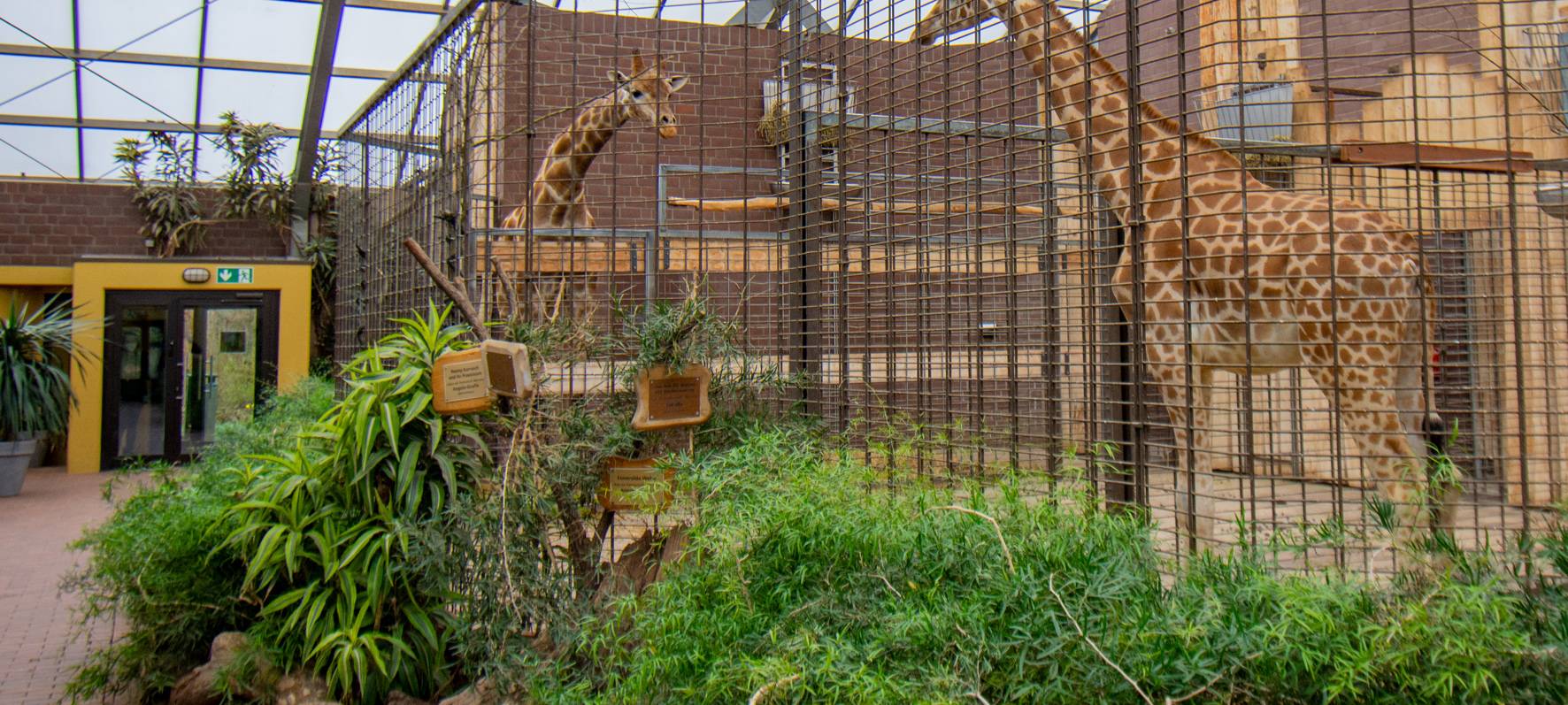 Tierhäuser im Dortmunder Zoo wieder geöffnet
