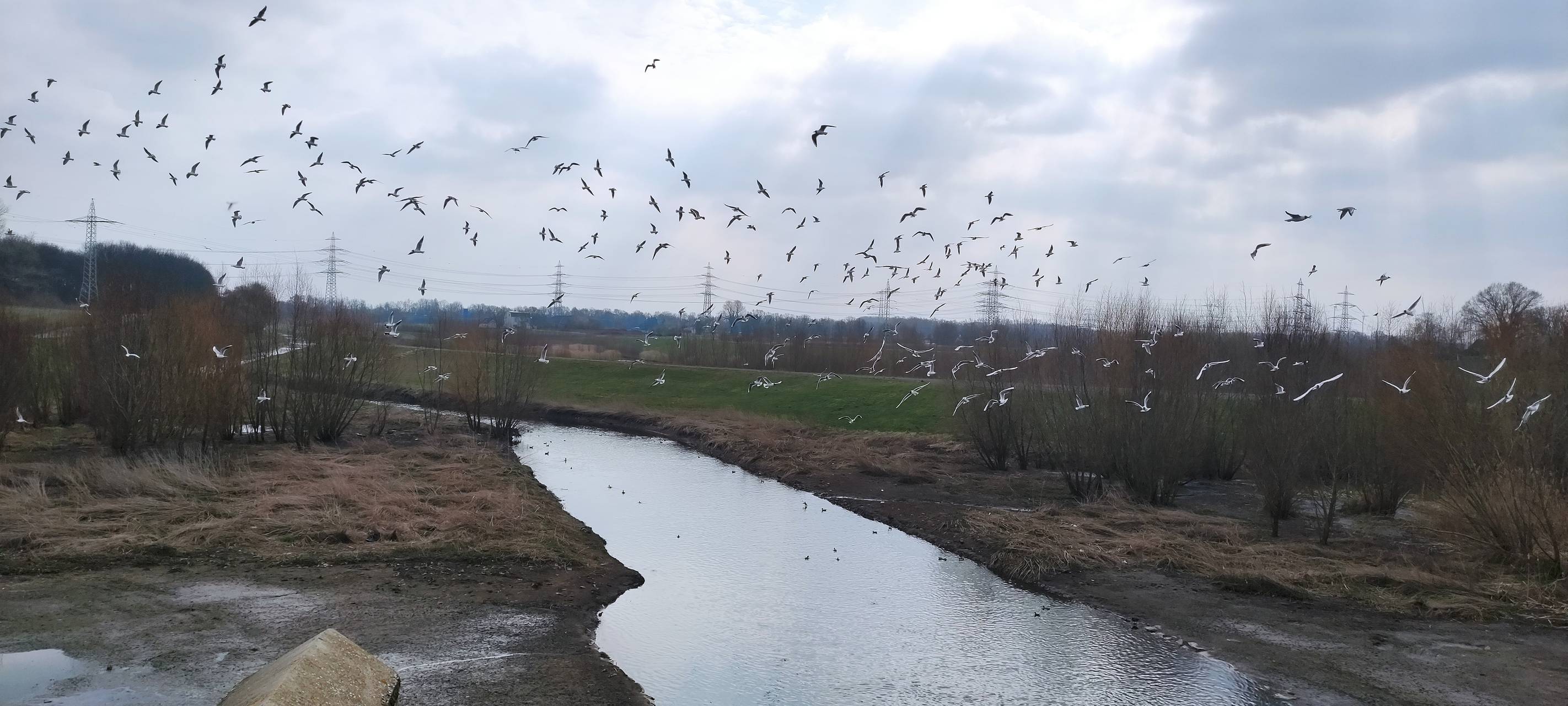 Die Emscher-Auen zwischen Mengede und Castrop-Rauxel-Ickern