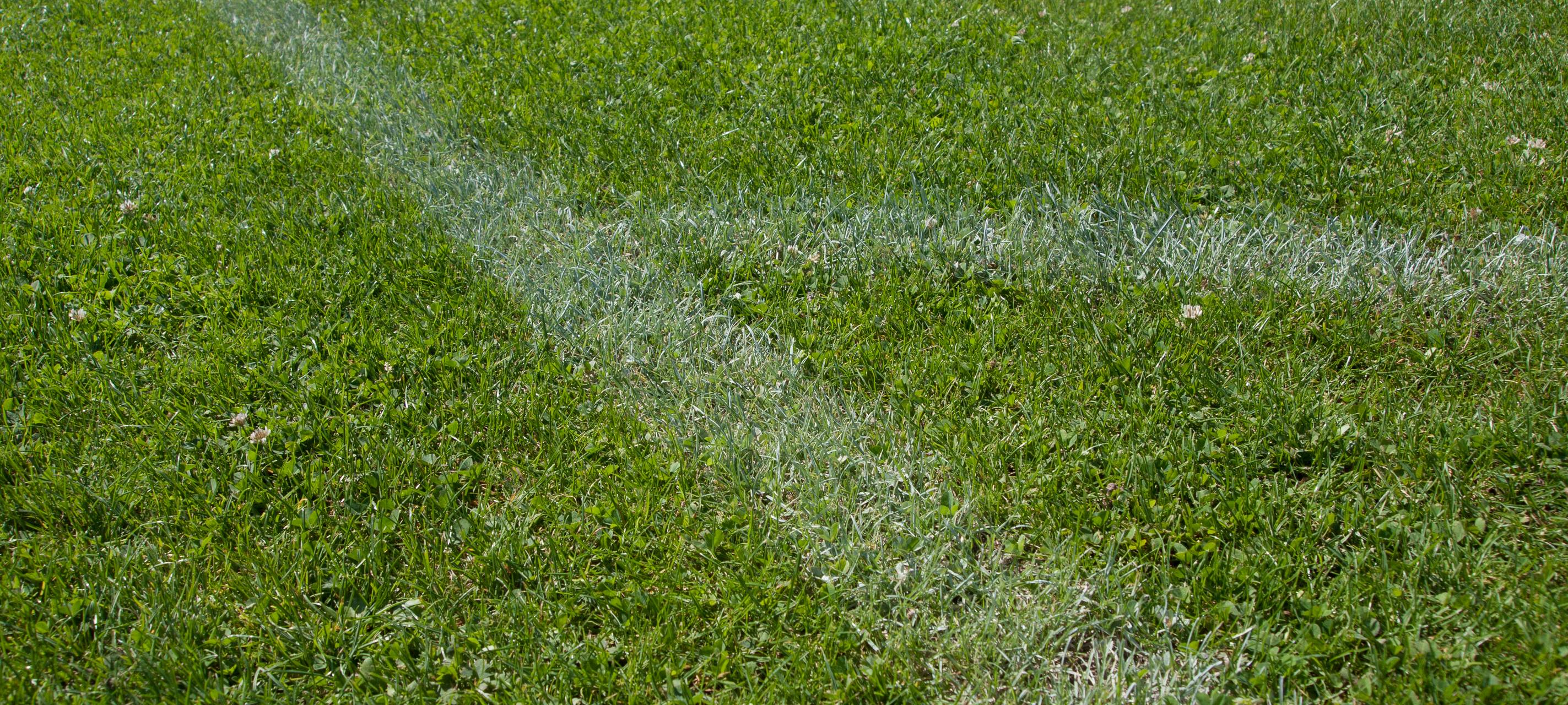 Testspiel in Dortmund