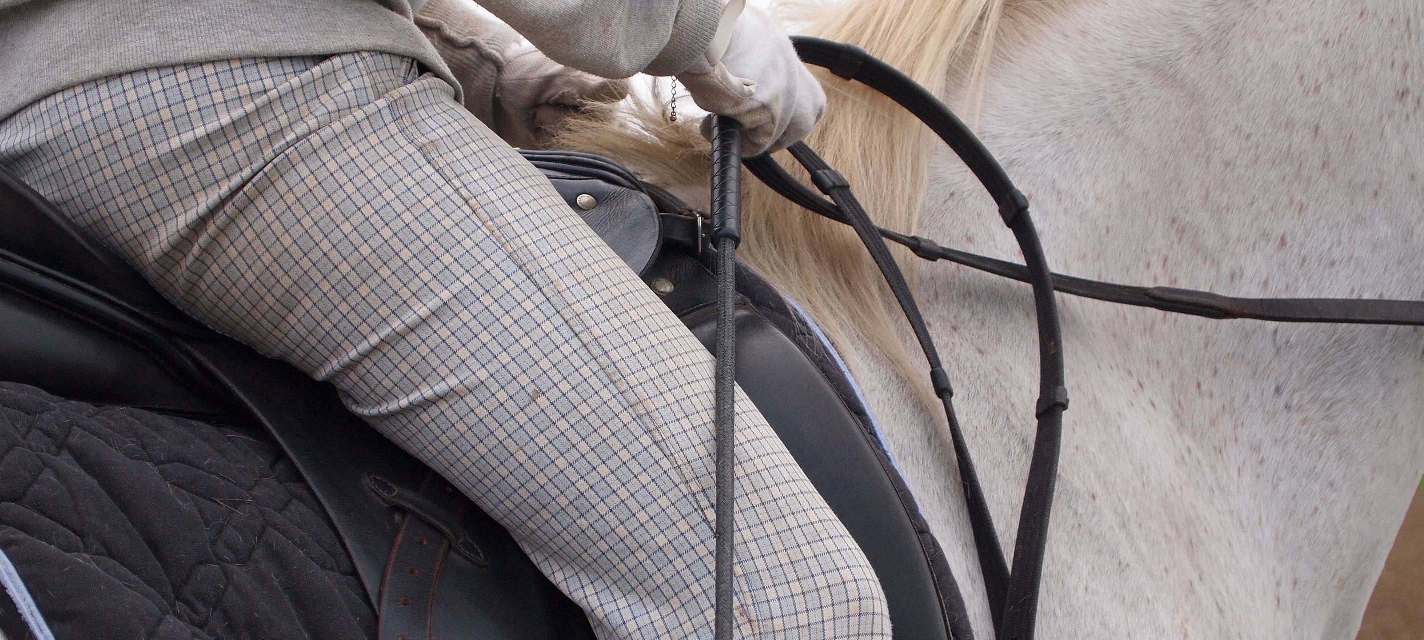 Internationales Hallen-Reittunier abgesagt