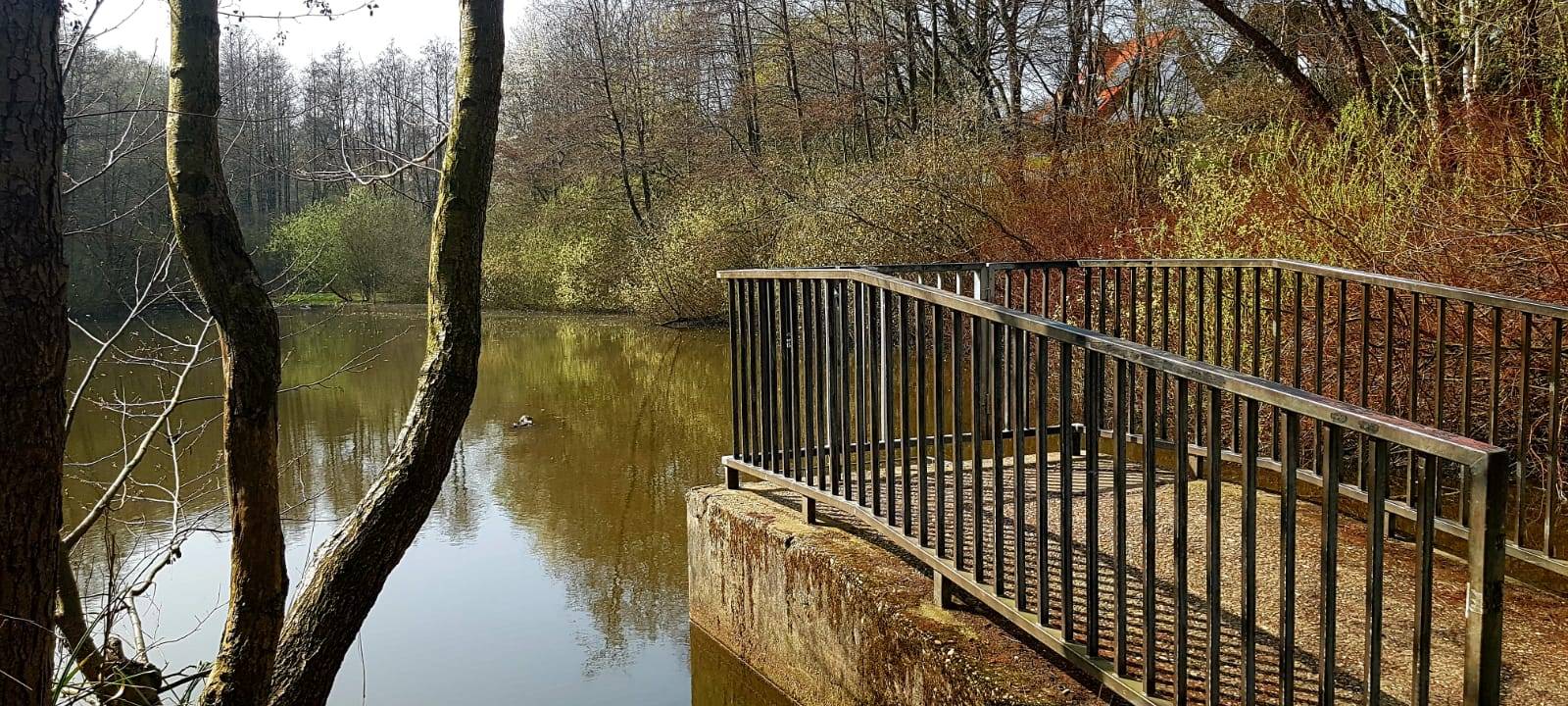 Ausflüge in Dortmund: Teich im Aplerbecker Wald