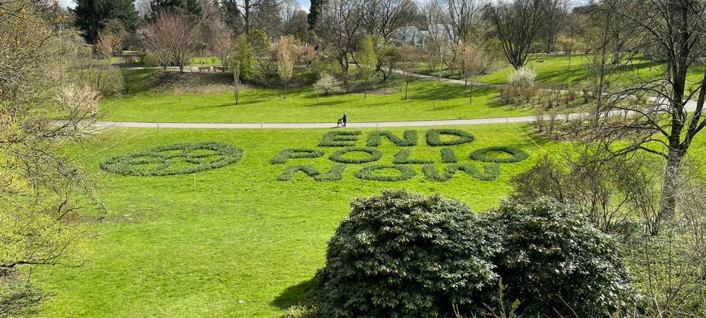 Dortmund: Frühling im Rombergpark