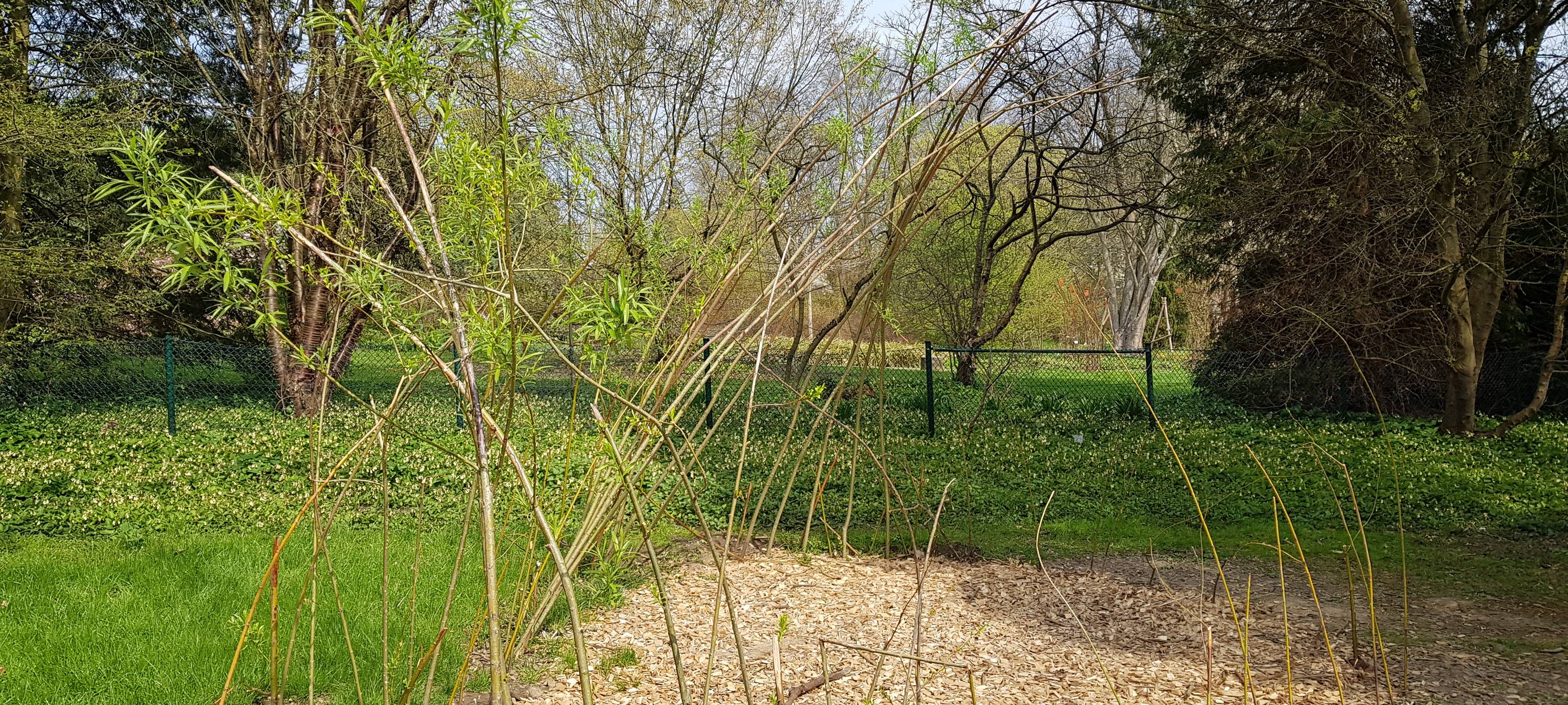 Dortmund: Mehr Vandalismus im Rombergpark