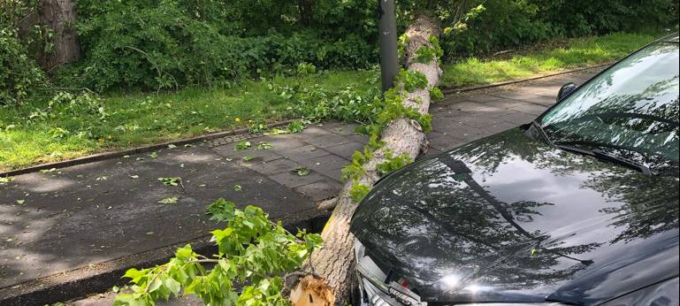 Umgestürzte Bäume blockieren Straßen in Dortmund