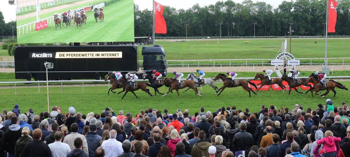Galopprennbahn: Dortmunder Reitverein irritiert über Zukunftspläne der Stadt