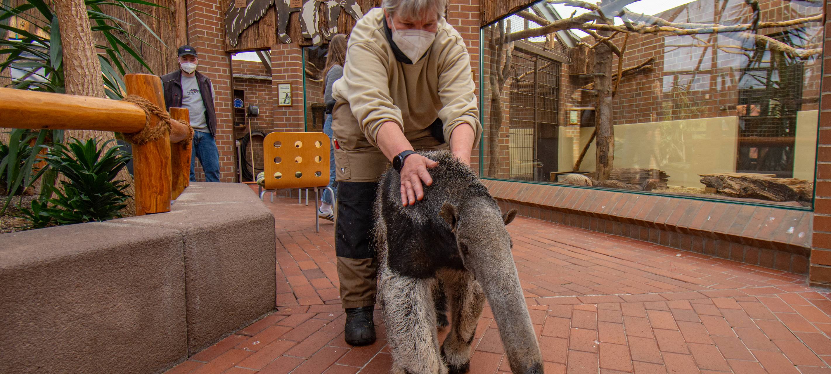 Ameisenbärin Sandra und Tierpflegerin Ilona