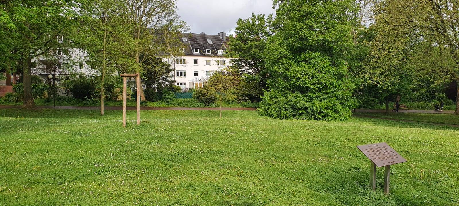Dortmunder Krisenzentrum: Gedenkbaum gestohlen
