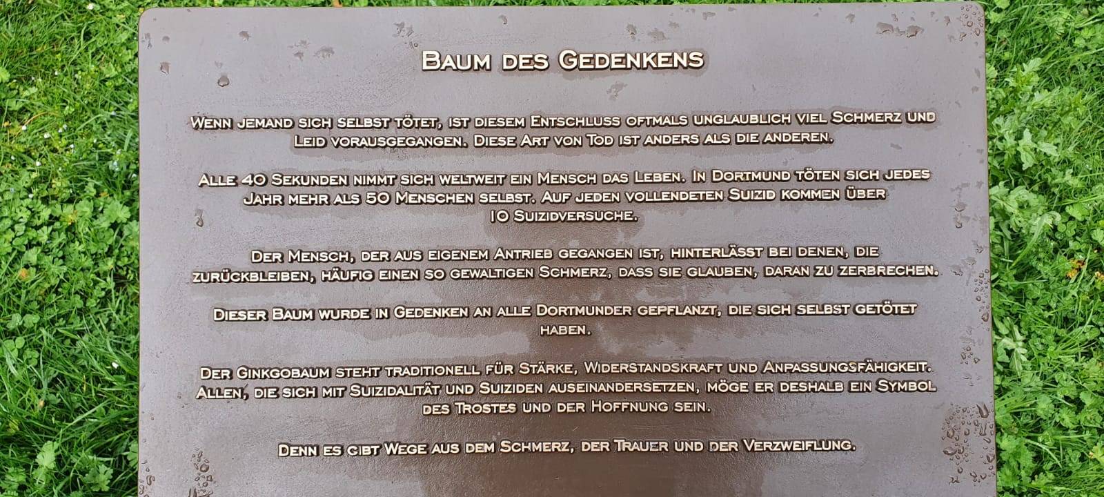 Dortmunder Krisenzentrum: Gedenkbaum gestohlen