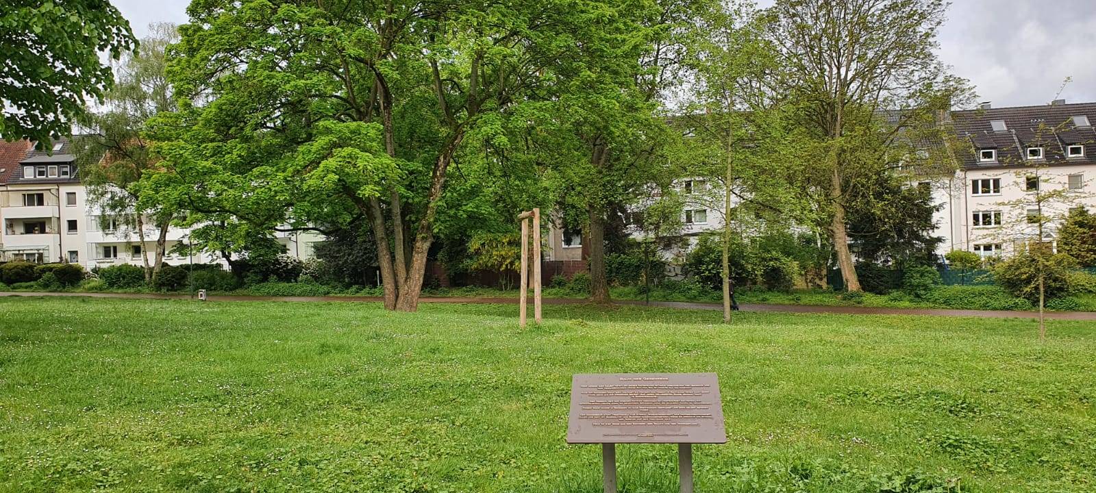 Dortmunder Krisenzentrum: Gedenkbaum gestohlen