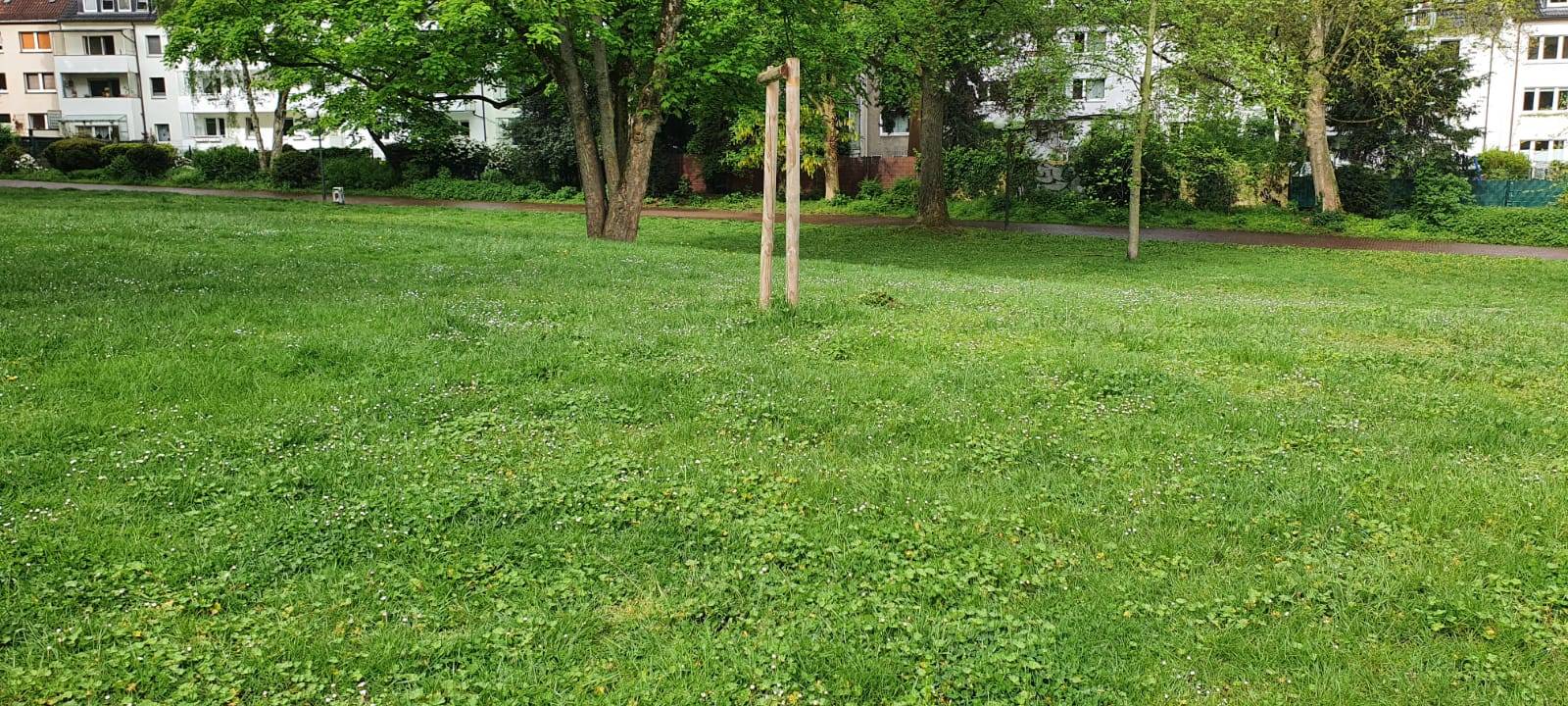 Dortmunder Krisenzentrum: Gedenkbaum gestohlen